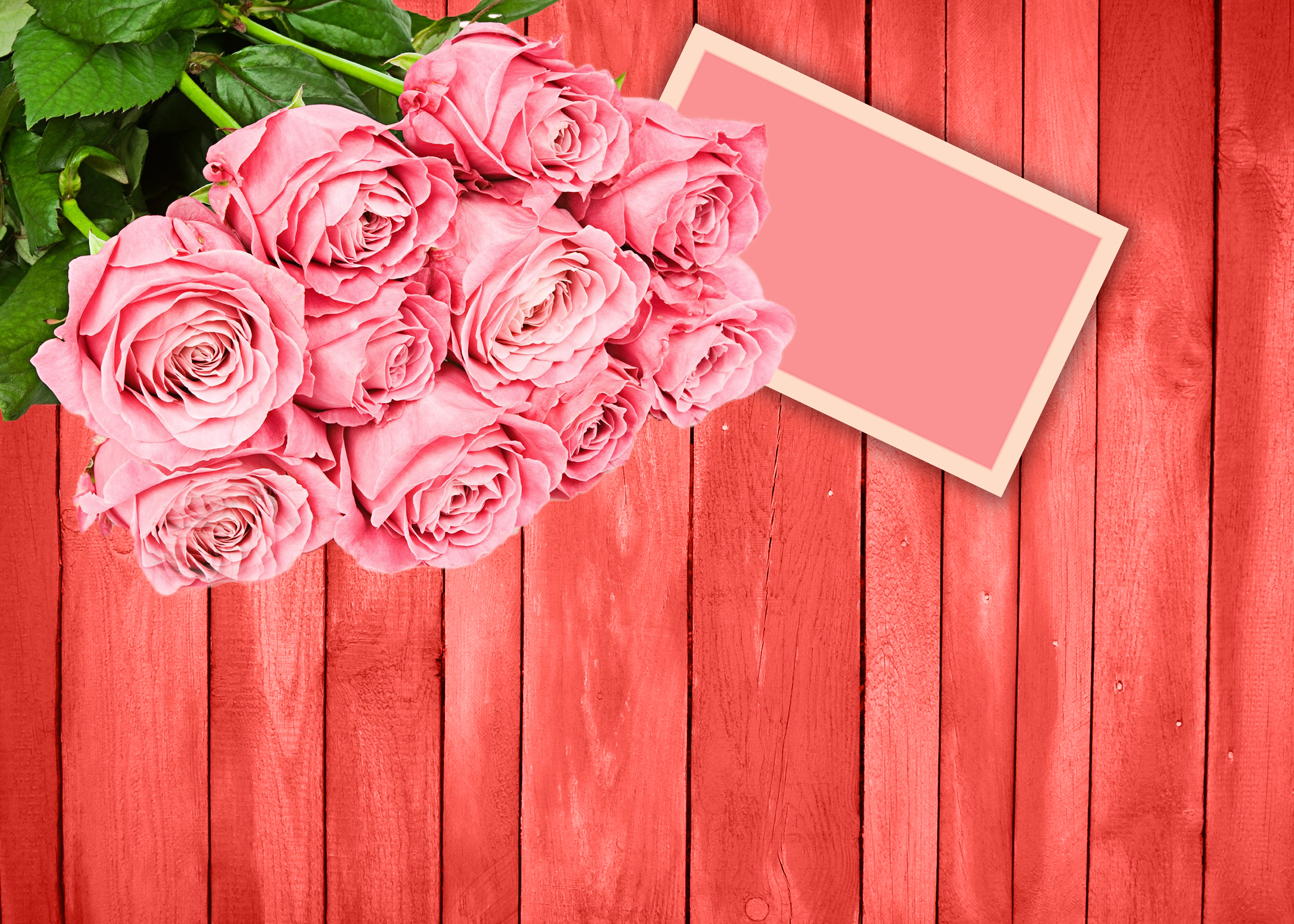 red, no people, pink color, flower arrangement, fragility, rosa, bunch of flowers, dedicated, flowering plant, romantic, nature, pink, background wood, HD Wallpaper