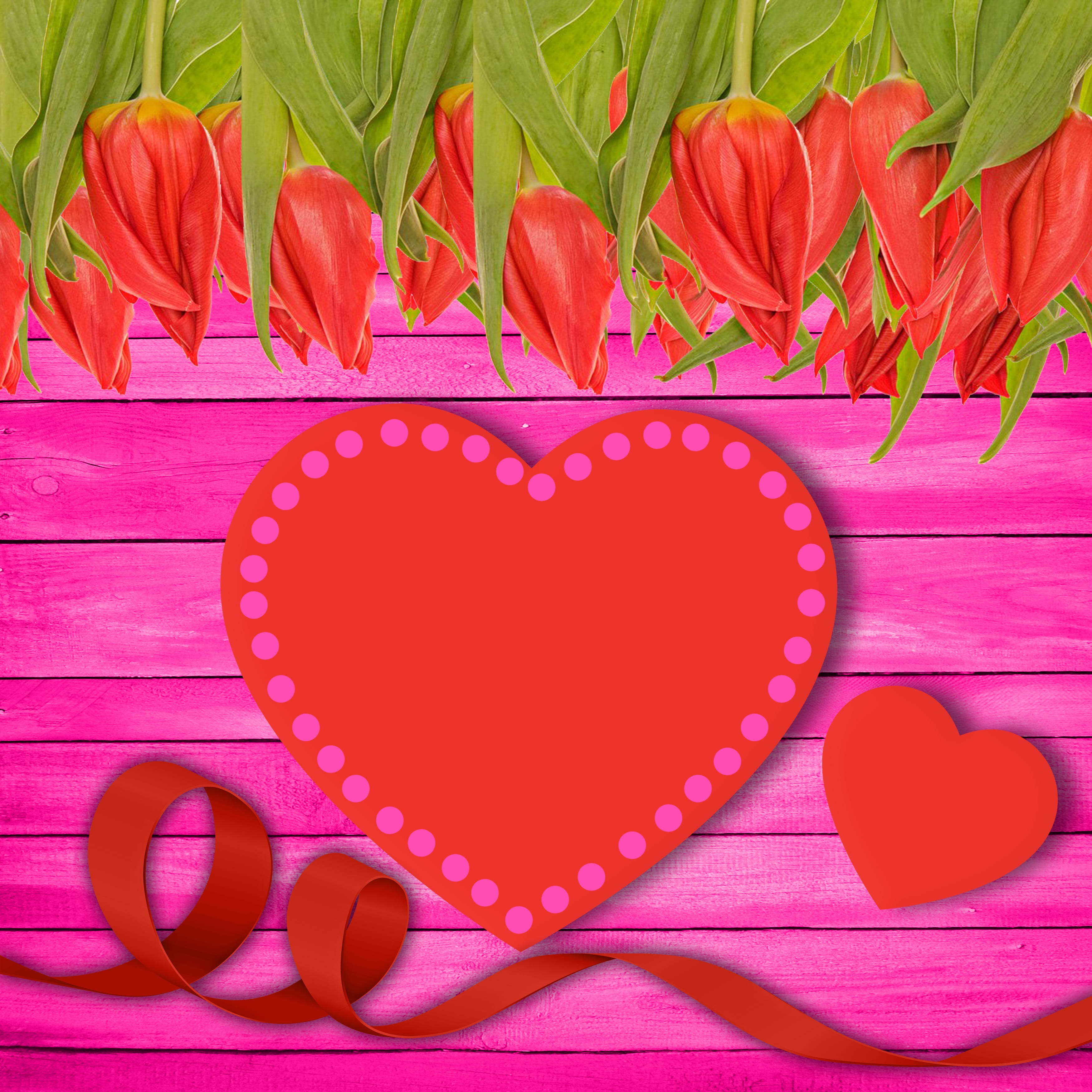 romantic, outdoors, tape, flower, flowering plant, red, heart shape, beauty in nature, floral, background, heart, emotion, message, mothers day, valentines day - holiday, Phone HD Wallpaper