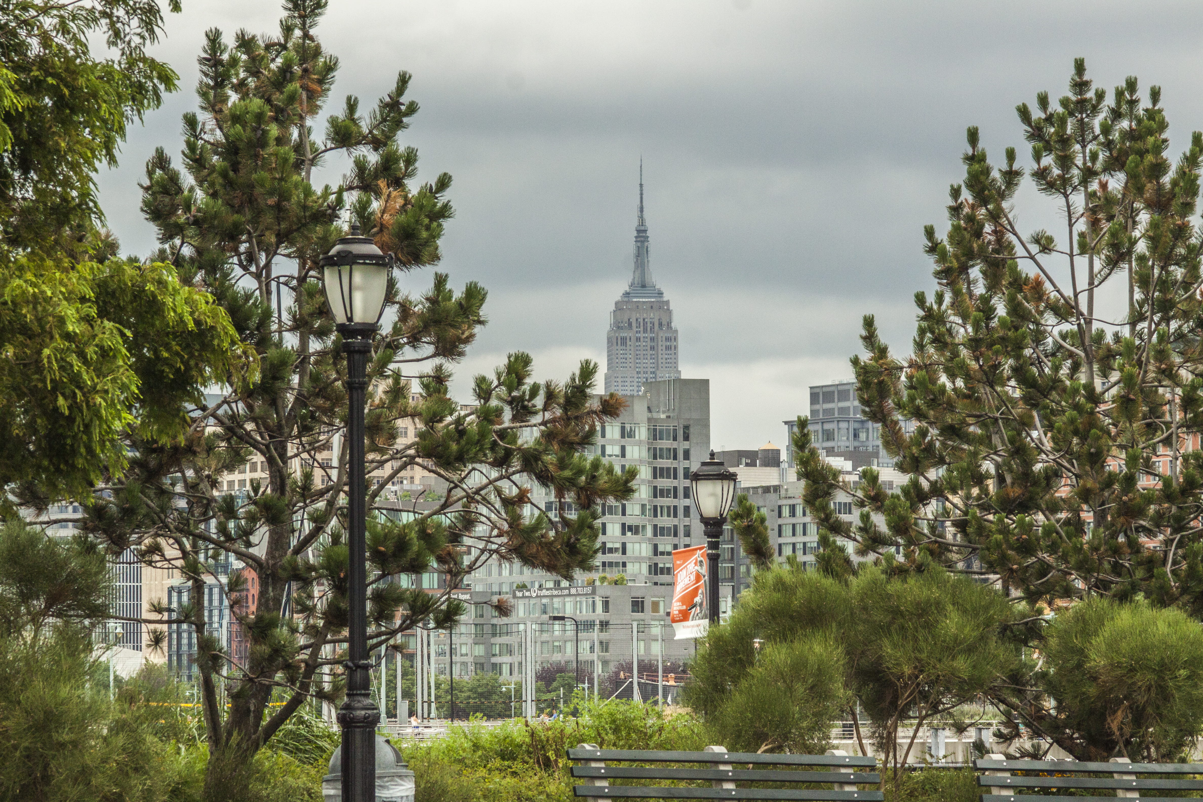 architecture, building, outdoors, building exterior, empire state building, tree, tall - high, growth, sky, nature, travel destinations, tribeca, park, HD Wallpaper