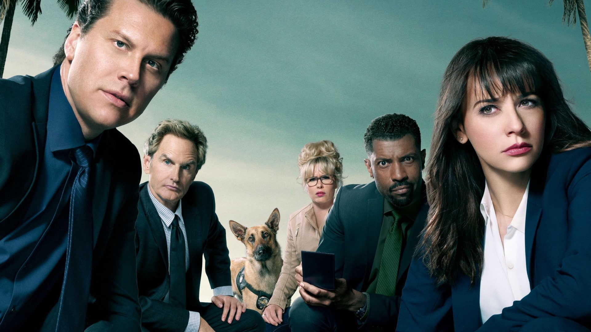 Angie Tribeca, TV Show, Dog, German Shepherd, 1080P, HD Wallpaper