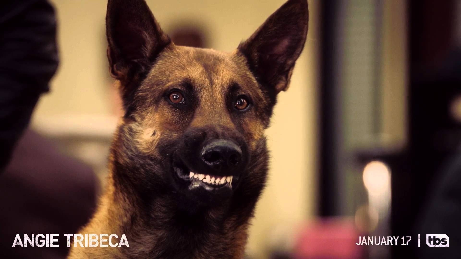 angie tribeca, 1080P, HD Wallpaper