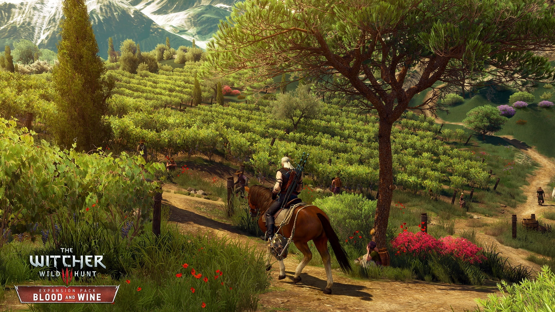 1080P, DLC, Wild Hunt, The Witcher 3, Blood and Wine, HD Wallpaper