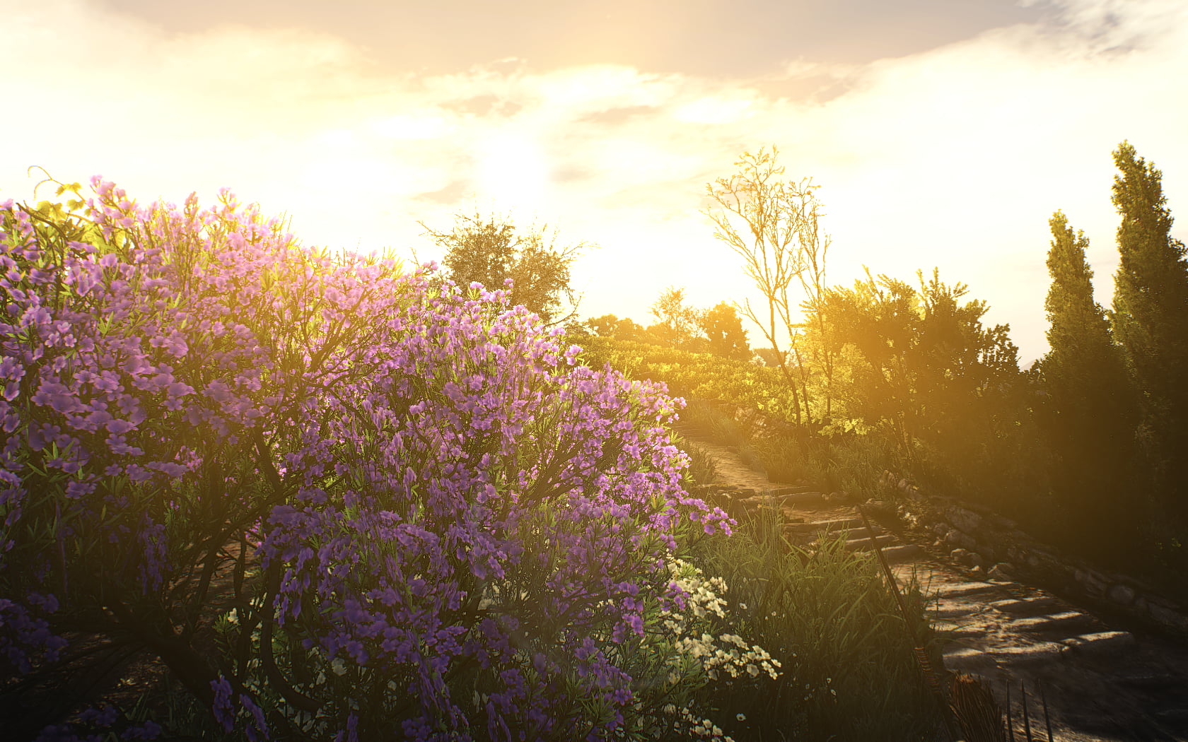 The Witcher 3: Wild Hunt, 720P, The Witcher, screen shot, Games posters, flower bow, The Witcher 3: Wild Hunt - Blood and Wine, HD Wallpaper