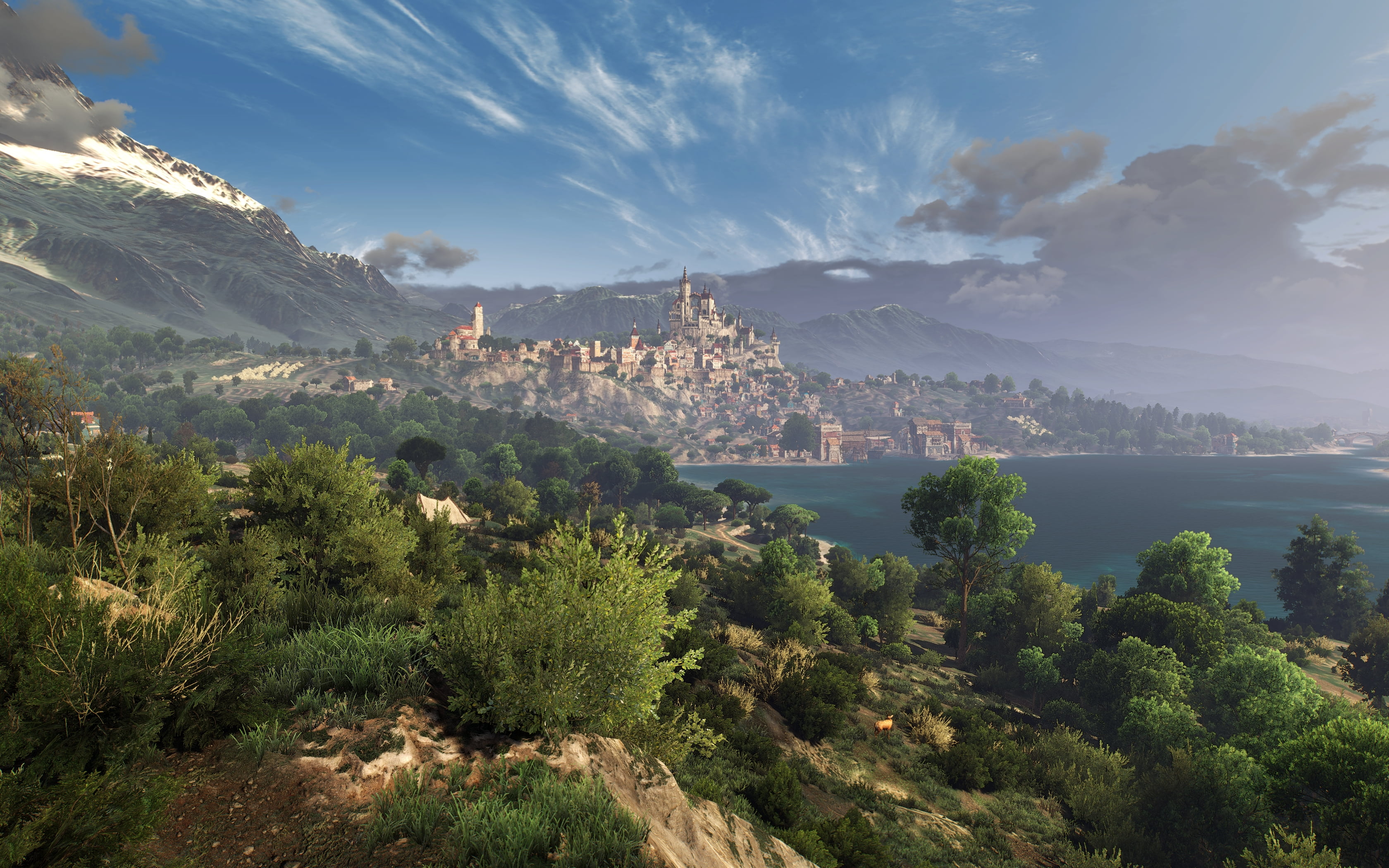 2K, flower (game), The Witcher 3: Wild Hunt - Blood and Wine, The Witcher 3: Wild Hunt, The Witcher, nature, HD Wallpaper