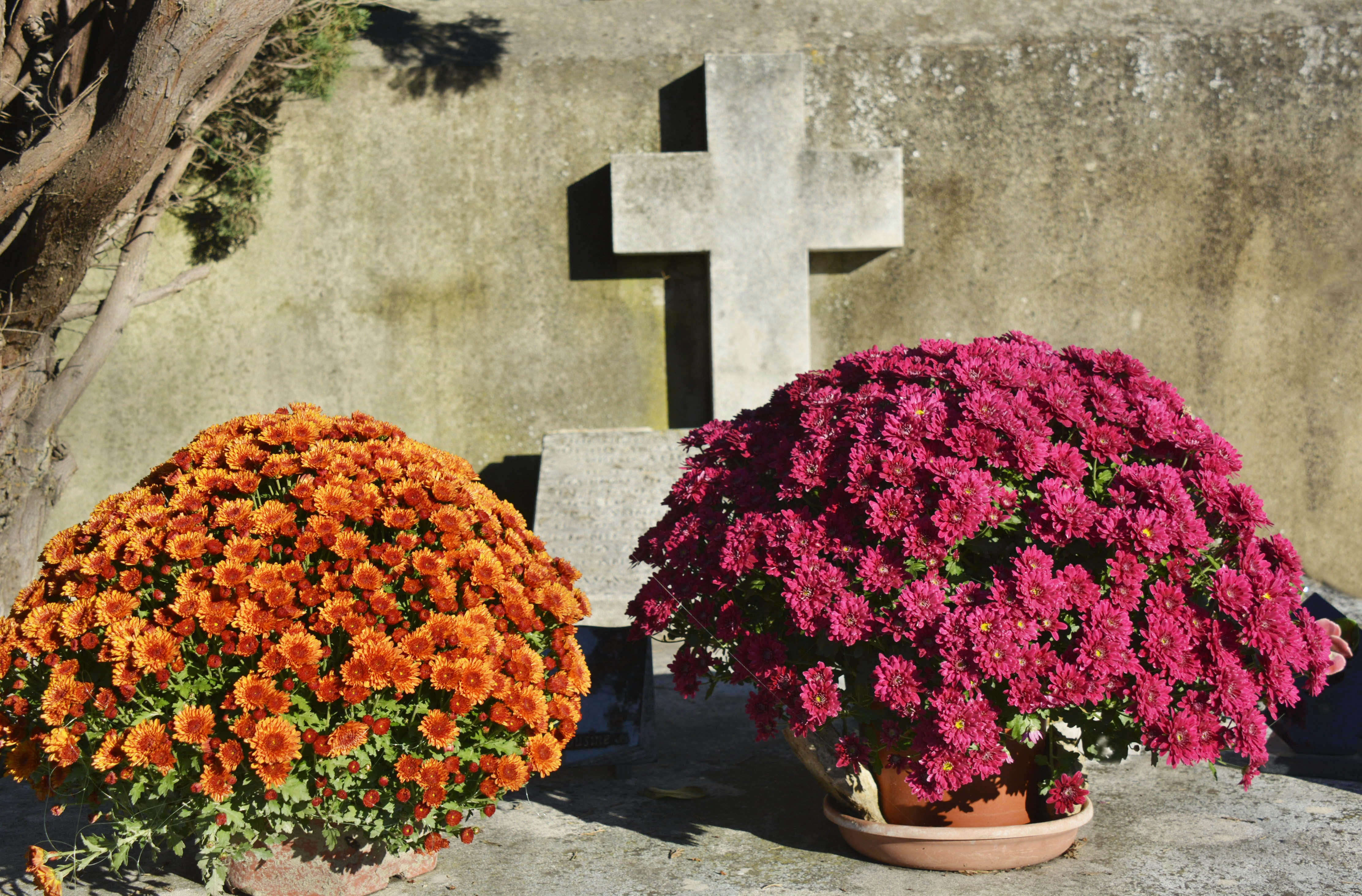 bouquet, day, flower, flowering plant, religion, nature, tombstone, cross, plant, cemetery, architecture, spirituality, 4K, outdoors, freshness, fragility, HD Wallpaper