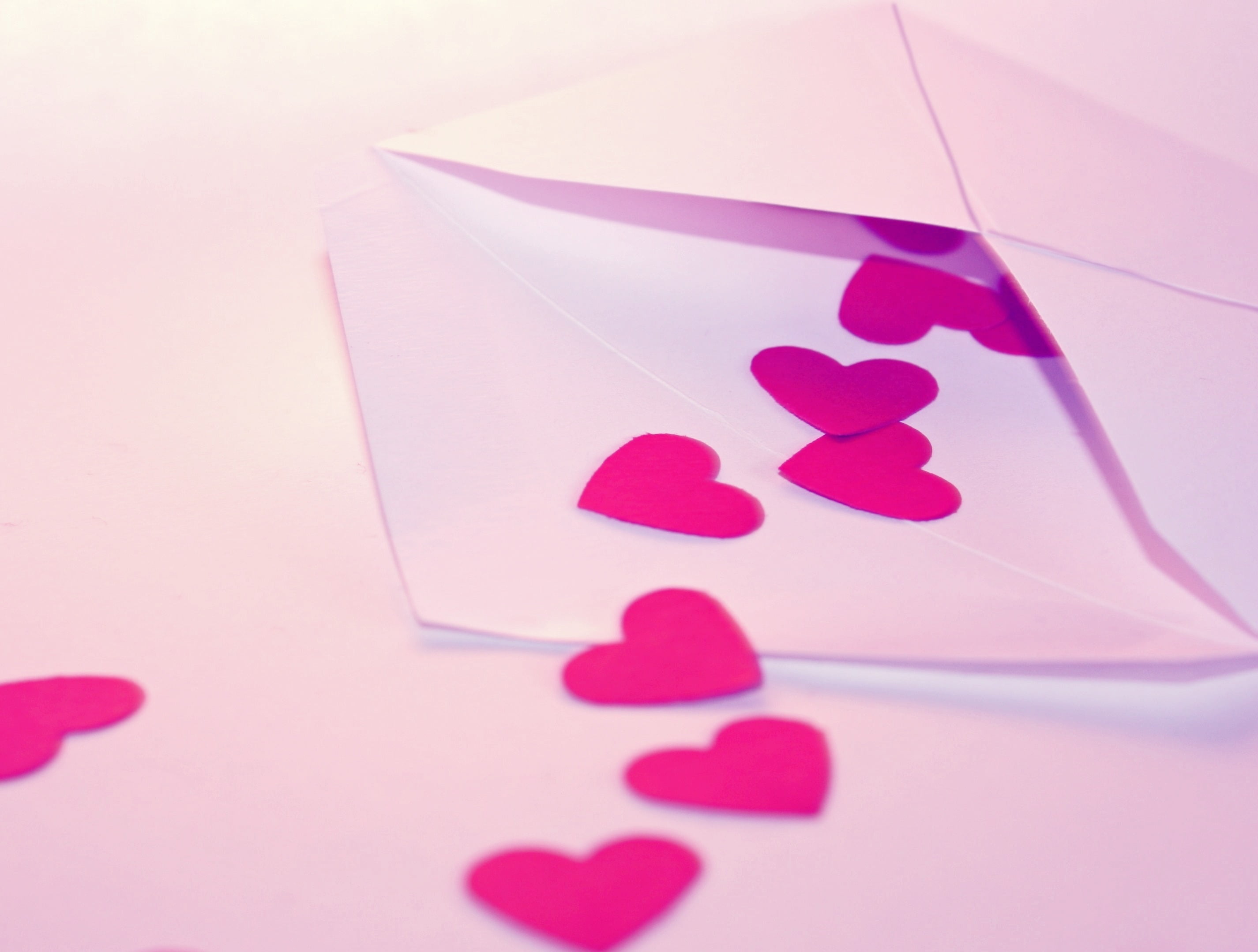 color Image, heart Shape, flowering plant, message, heart, pink Color, valentine Card, 2K, love Letter, pink, backgrounds, decoration, shape, petal, studio shot, HD Wallpaper