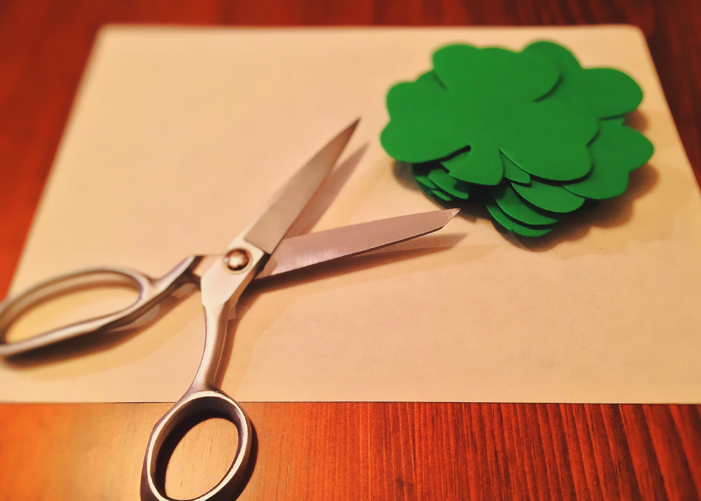 near, two objects, irish, green color, indoors, high angle view, metal, scissors, 2K, eyeglasses, focus on foreground, shamrock, flowers, still life, wood - material, HD Wallpaper