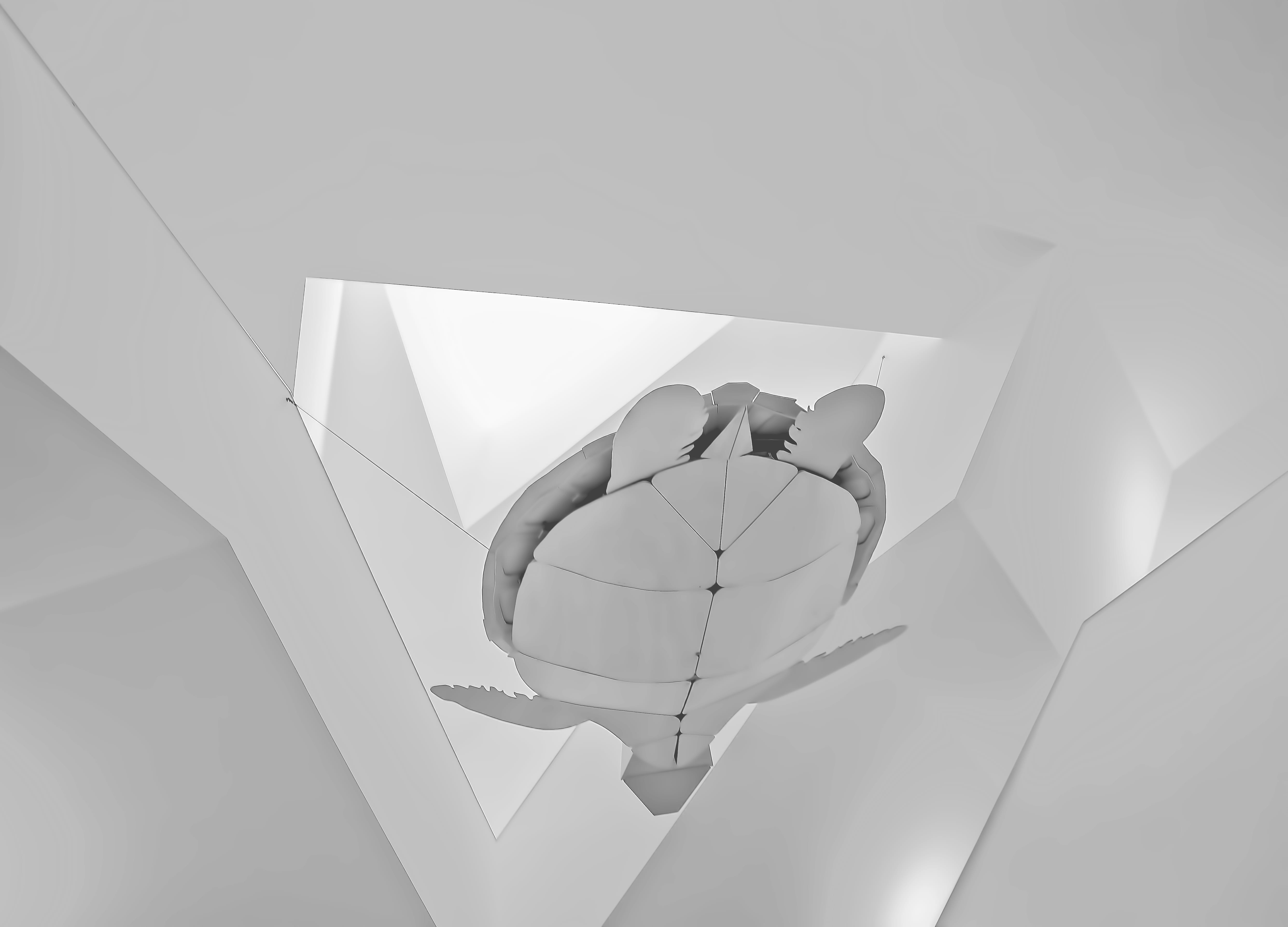 stair, paper, building exterior, close-up, day, nature, shape, decor, white color, design, lighting equipment, built structure, minimalist, turttle, ceiling, HD Wallpaper