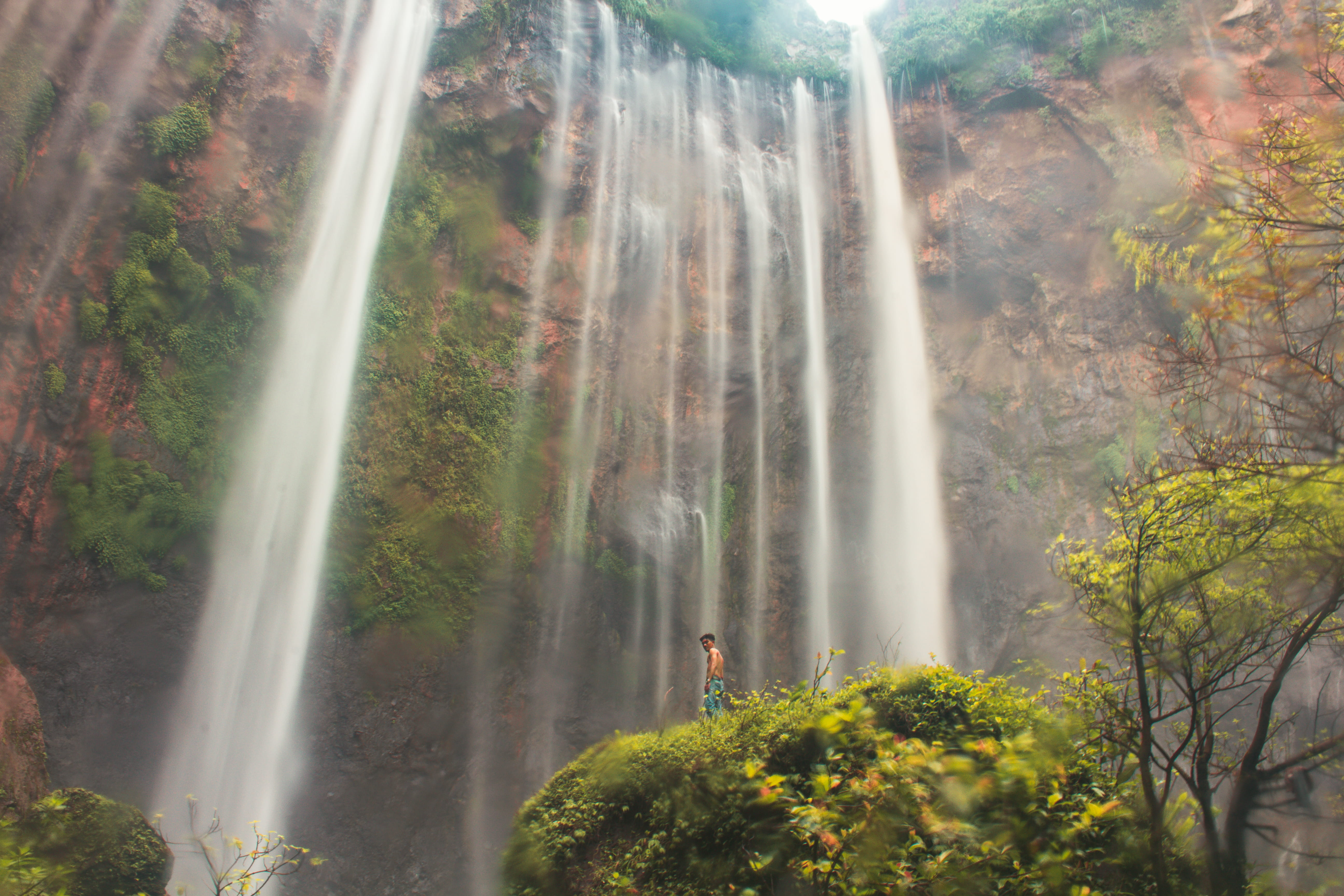 non-urban scene, motion, flowing, lr10k, beauty in nature, 5K, outdoors, land, growth, day, idyllic, forest, sunbeam, nature, power in nature, coban sewu, HD Wallpaper