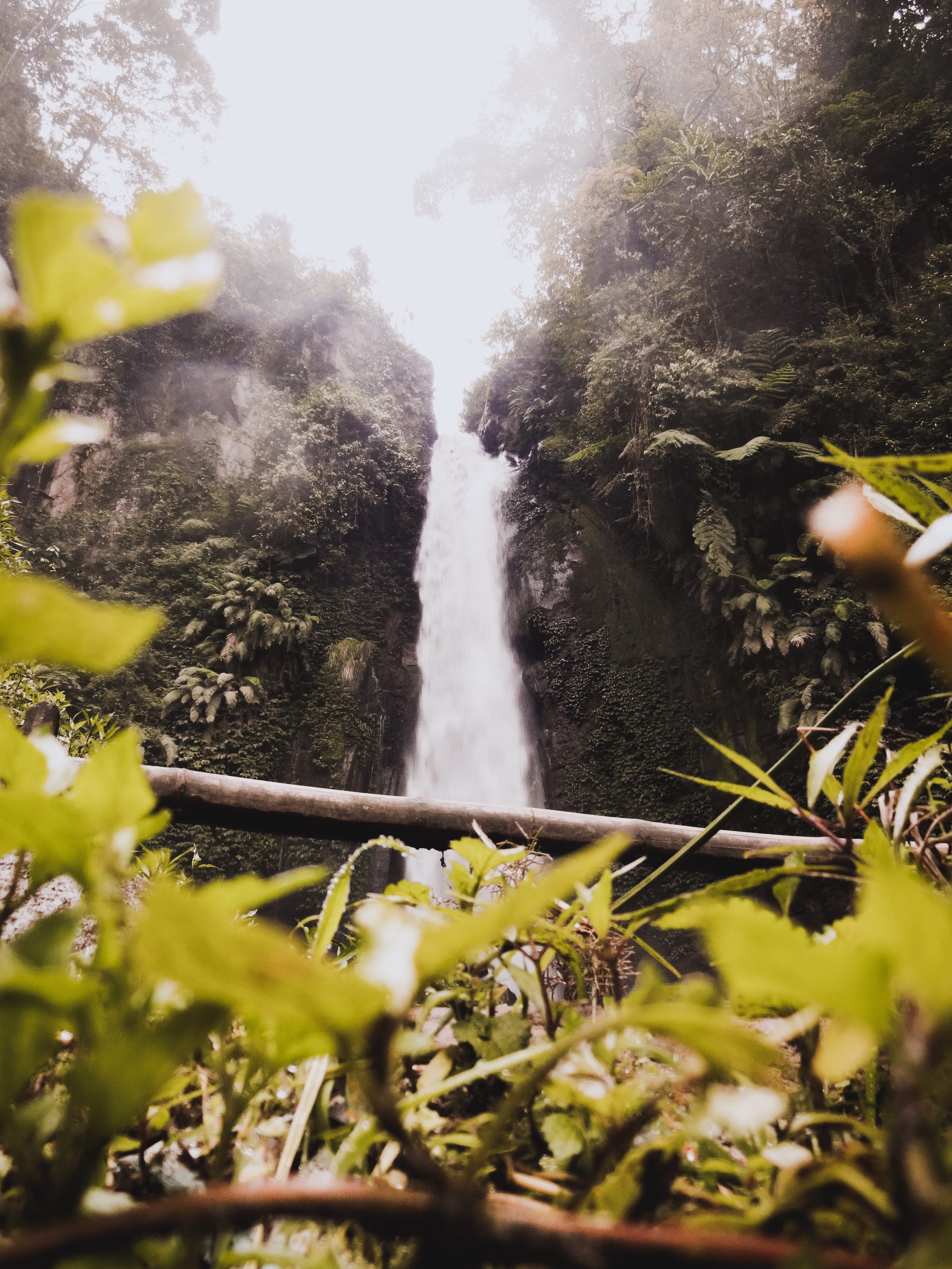 land, rainforest, bush, vegetation, plant, day, river, outdoors, tree, water, motion, jungle, nature, long exposure, jl. coban talun no.33, folk, focus on background, Phone HD Wallpaper