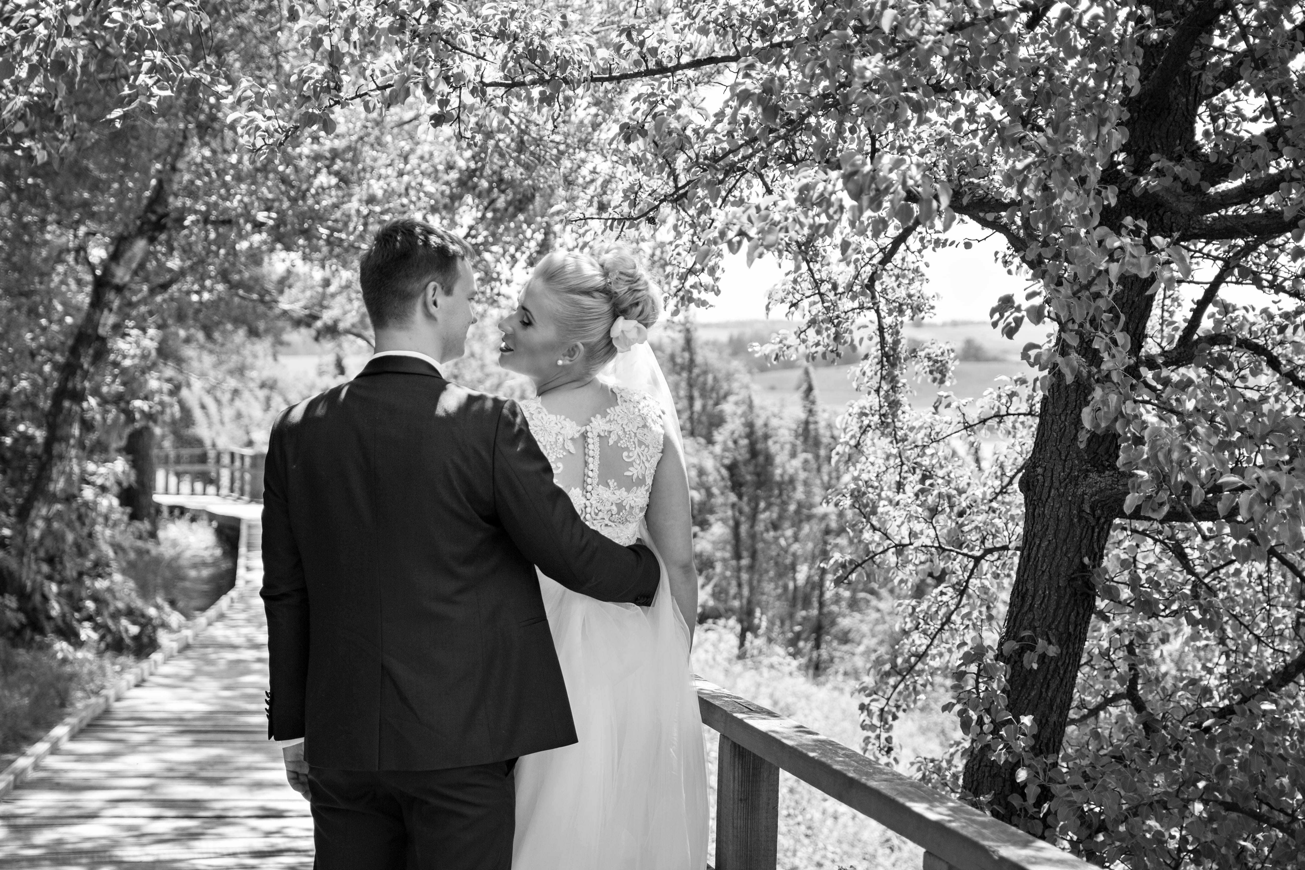 sweet, women, wedding dress, couple, daytime, females, park, tree, romantic, 5K, together, romance, trees, lifestyles, plant, people, two people, positive emotion, HD Wallpaper