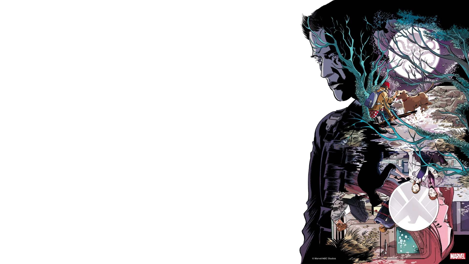 Agents of S.H.I.E.L.D., 1080P, Comics, HD Wallpaper