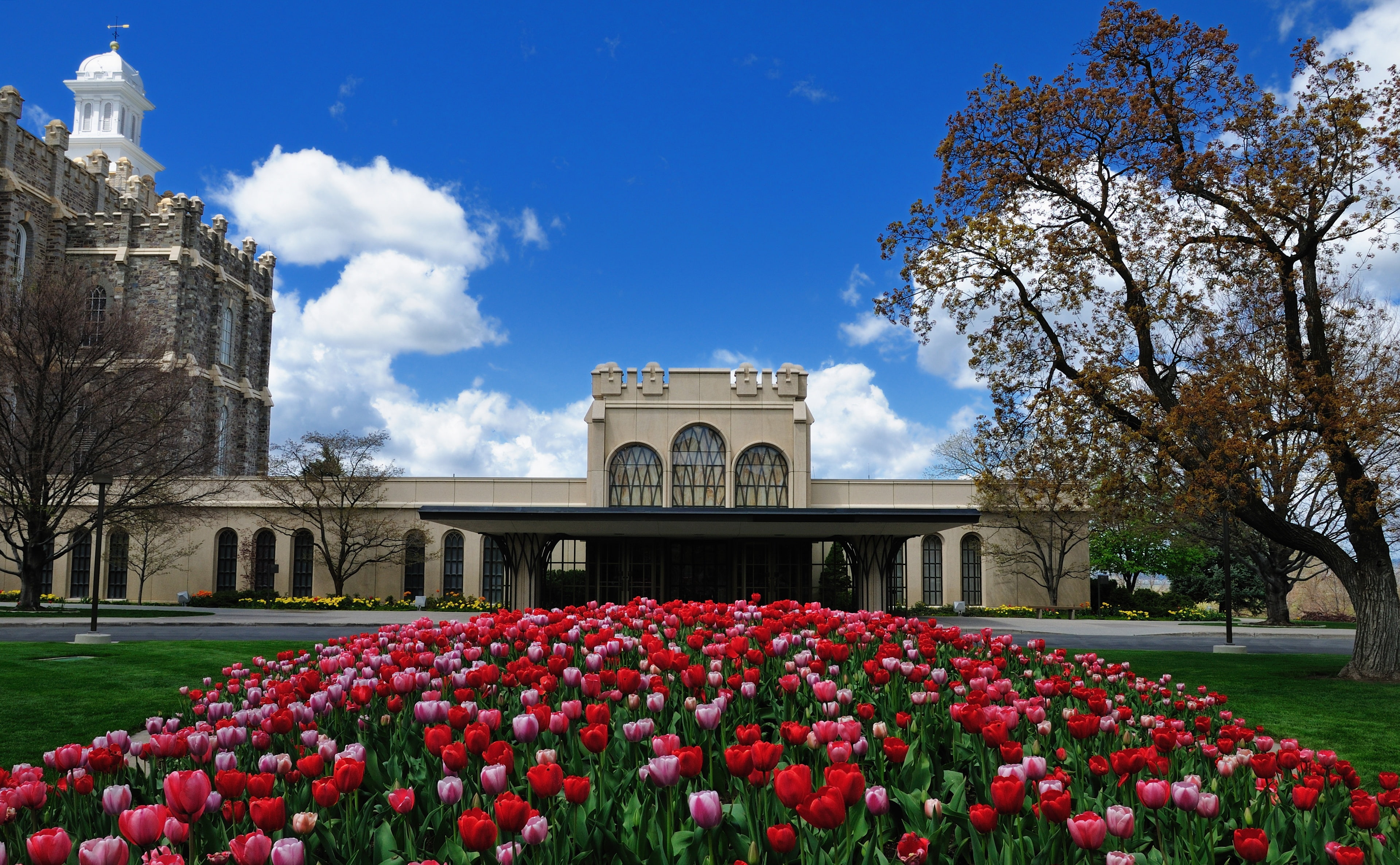 the past, lds, red, Temple, concrete, nature, gray, history, no people, United States, cloud - sky, building exterior, building, Utah, flowering plant, HD Wallpaper