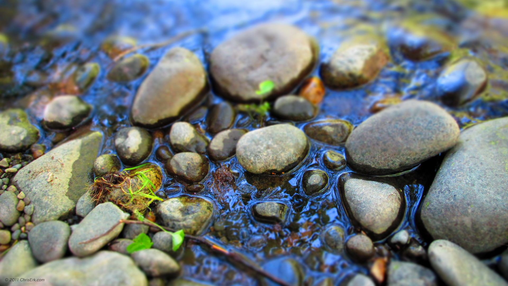 stones, pond, macro, nature, water, rocks, 1080P, blue, gray, HD Wallpaper