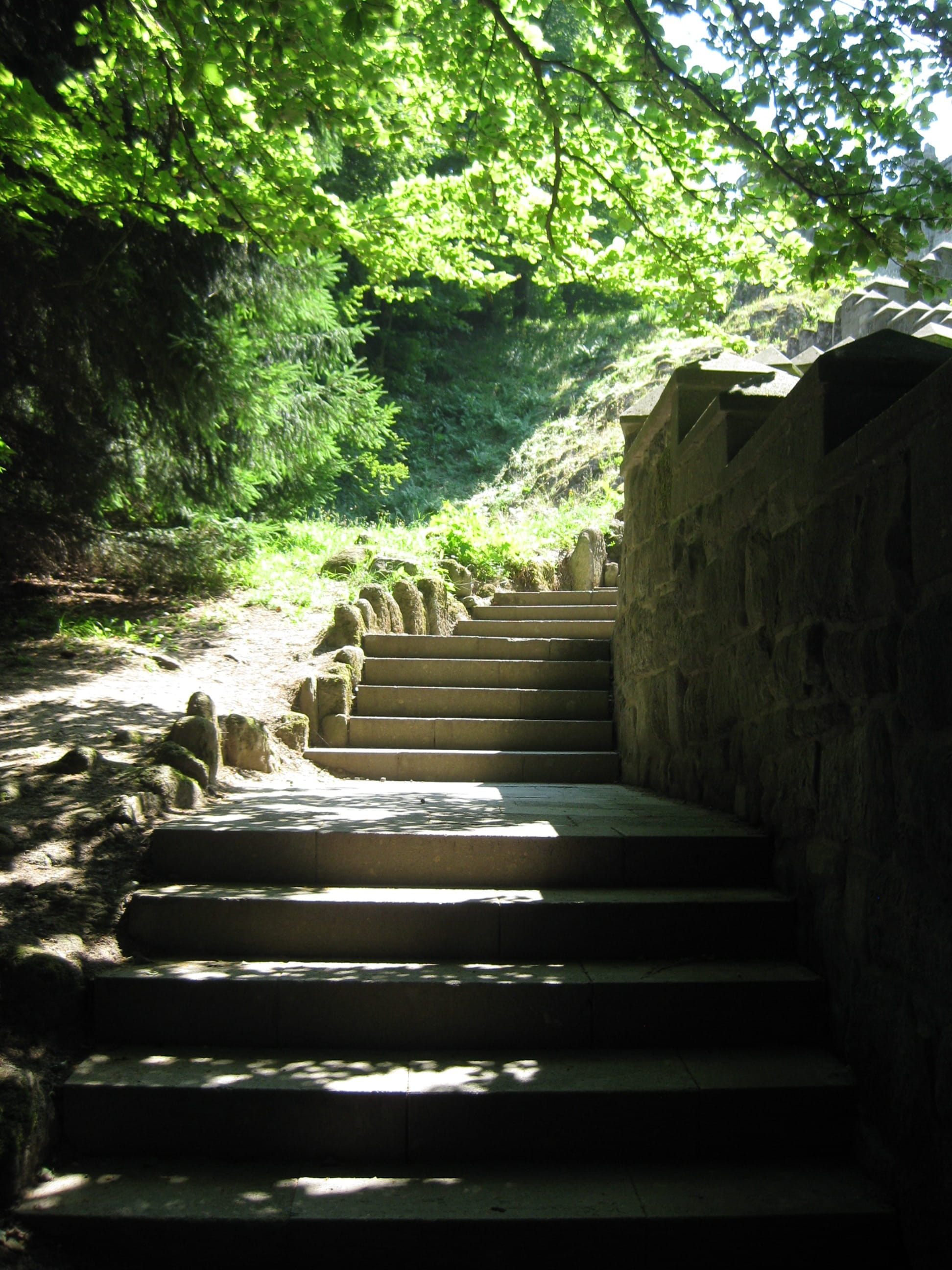 built structure, Stairs, tranquility, land, 2K, steps, no people, sun, day, Emergence, staircase, Lichtspiel, tranquil scene, Forest, outdoors, steps and staircases, Phone HD Wallpaper