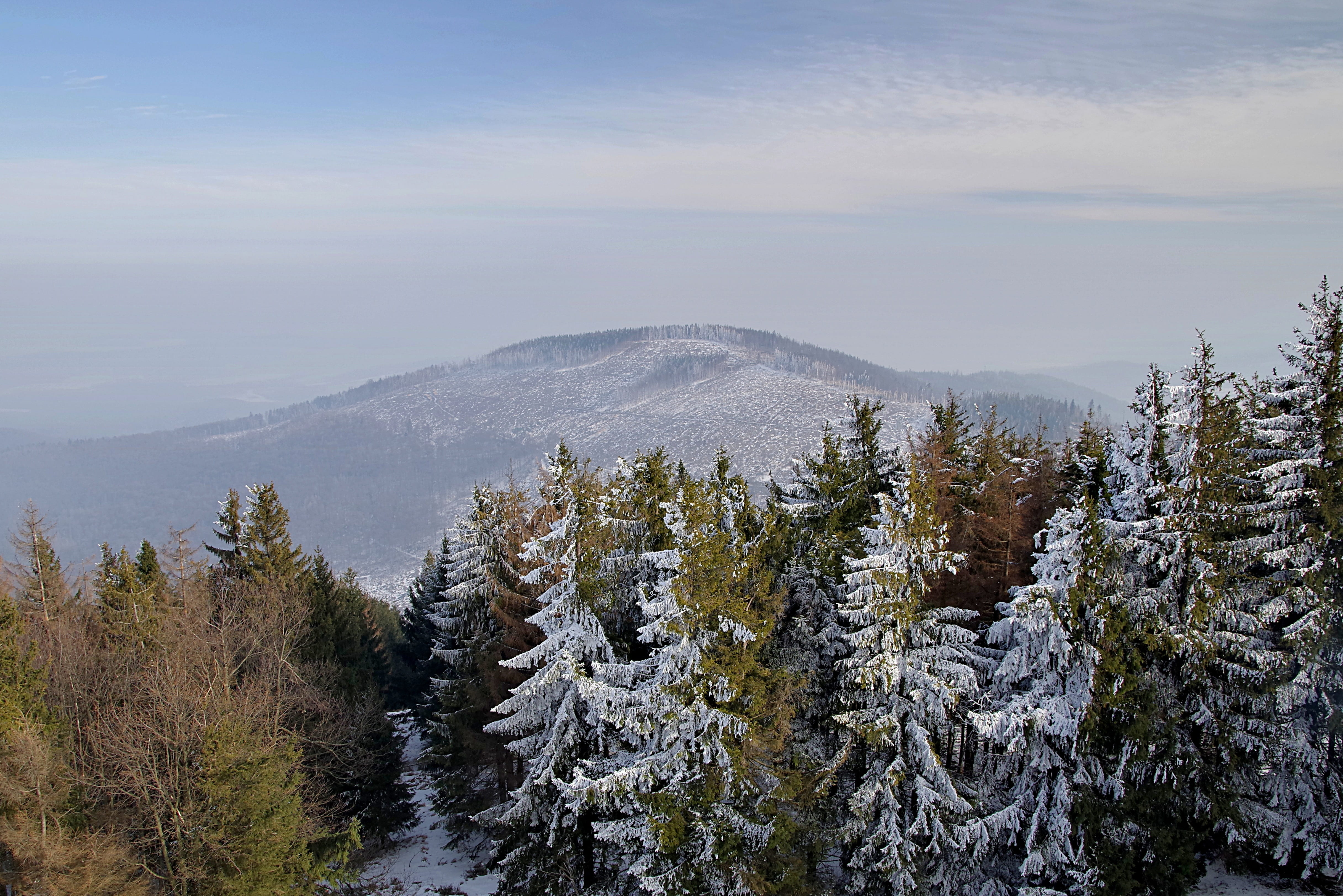 woodland, opava, Mountains, land, landscape, cold temperature, hard rime, Tree, non-urban scene, forest, beauty In Nature, scenics - nature, mountain Range, HD Wallpaper