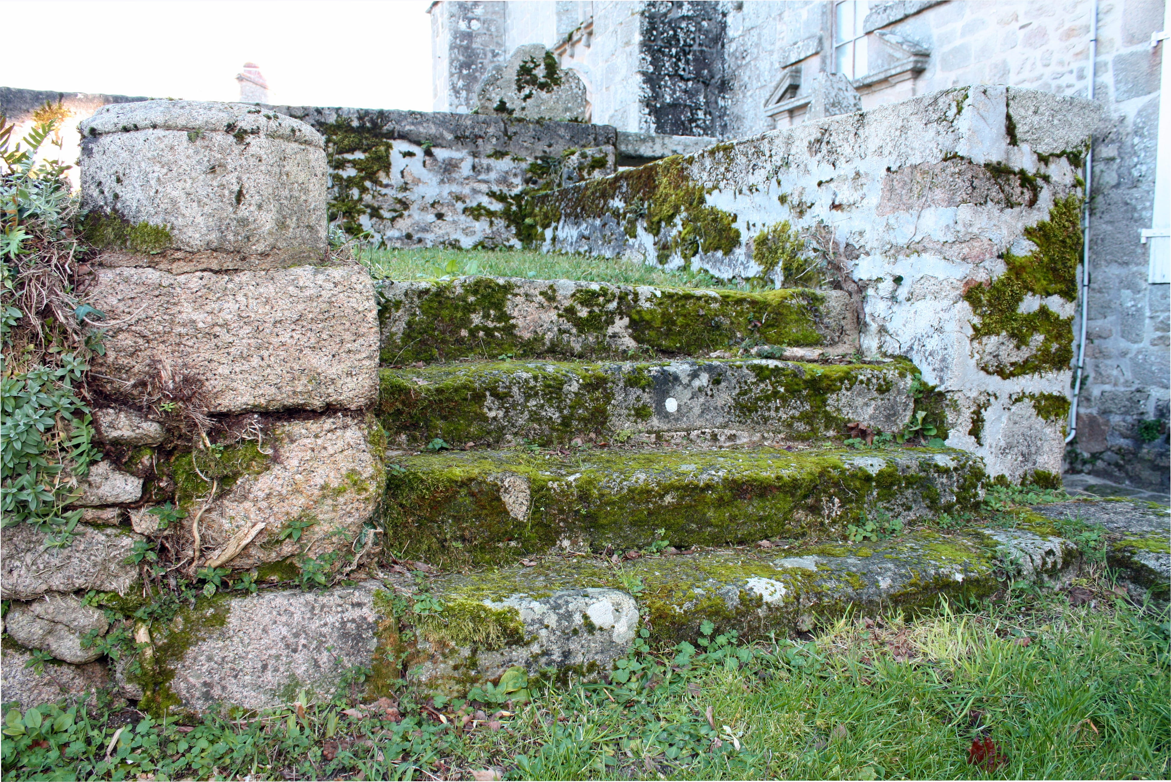 history, no people, building, nature, outdoor, Steps, solid, old, stone steps, run-down, plant, Covered, step, deterioration, mossy steps, weathered, stairs, HD Wallpaper