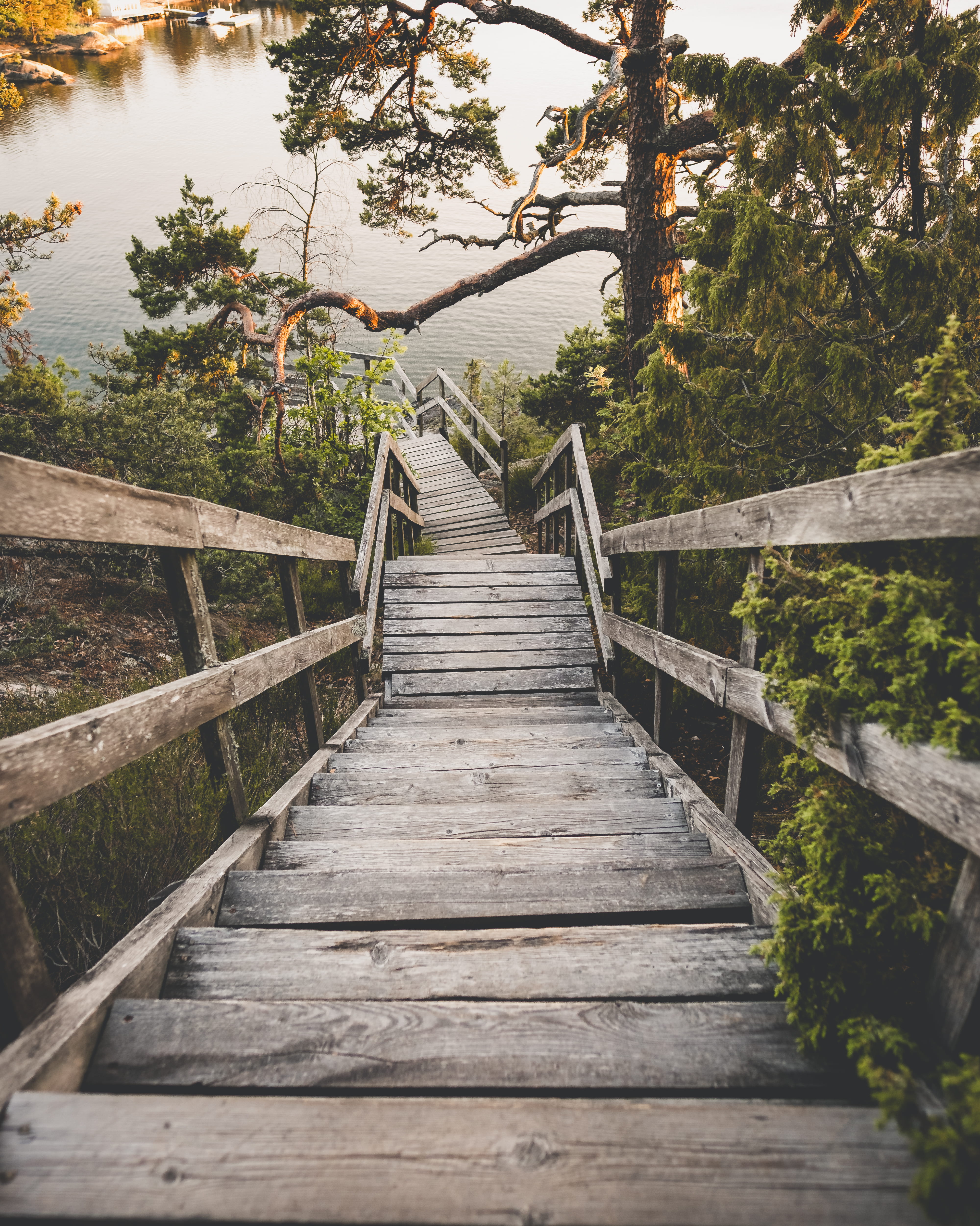 path, tree, day, lakeside, body, trail, non-urban scene, the way forward, long, boardwalk, near, stair, tranquility, 4K, sweden, built structure, stairway, Phone HD Wallpaper