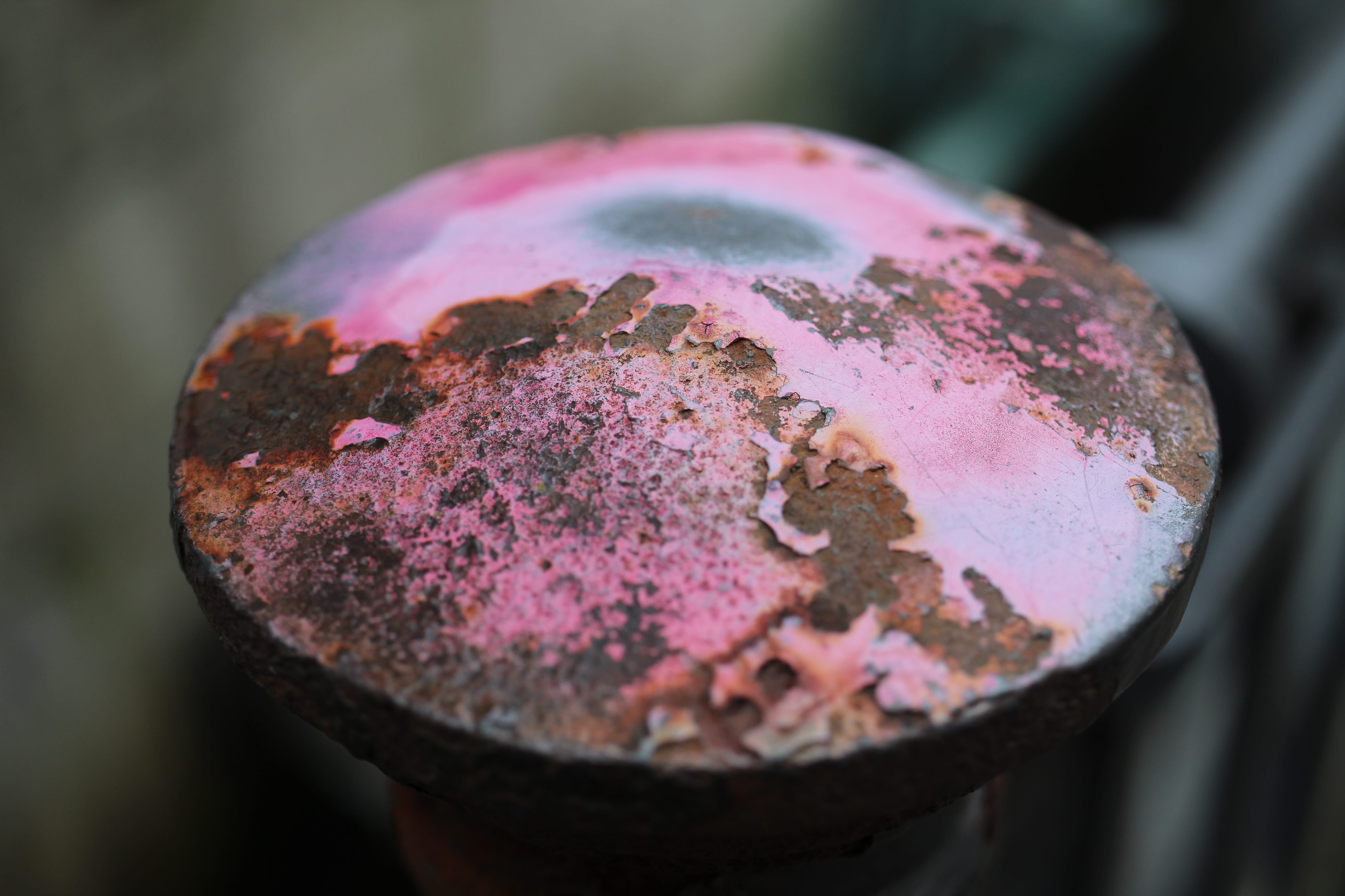 no people, healthy eating, outdoors, focus on foreground, food, rusty, pink color, high angle view, selective focus, day, handrail, single object, freshness, HD Wallpaper