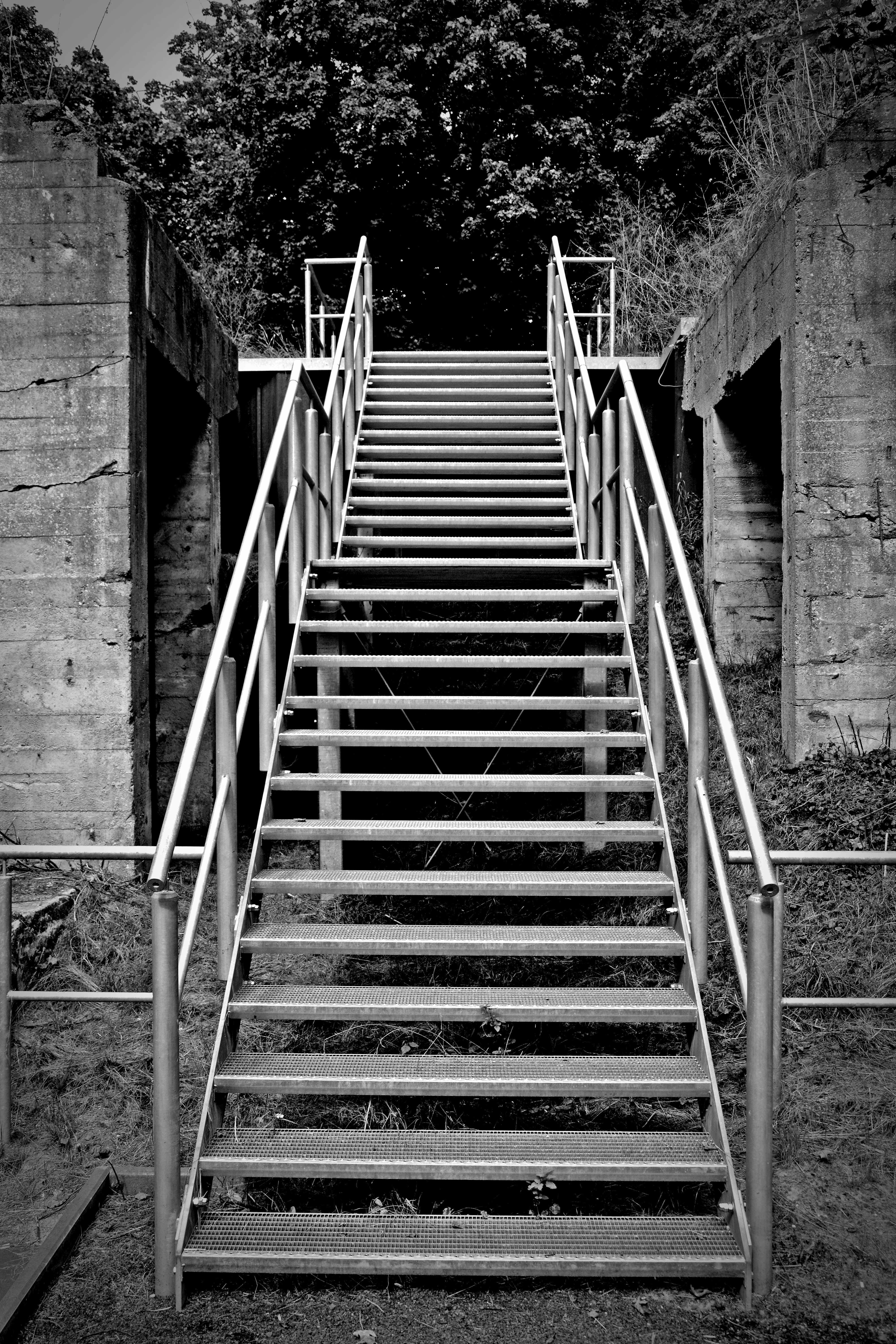 staircase, 5K, railing, go up, wood - material, plant, metal, building, old, stairs, architecture, rise, tree, ladder, building exterior, outdoors, emergence, Phone HD Wallpaper