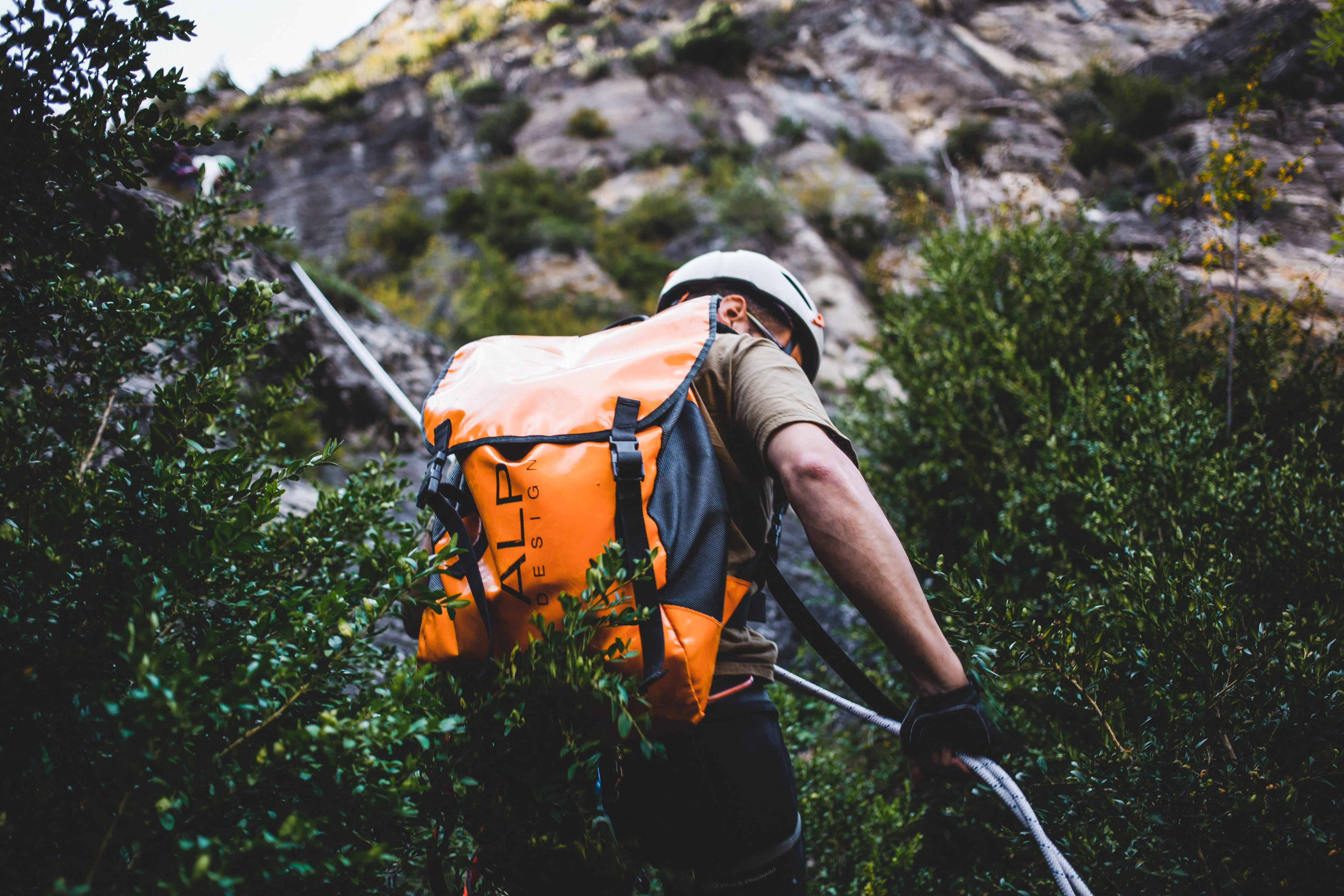 Nature and Landscapes, nature, Backpack, spraying, men, clothing, growth, working, Trip, safety, Outdoor, real people, Adventure, plant, climber, photo, HD Wallpaper