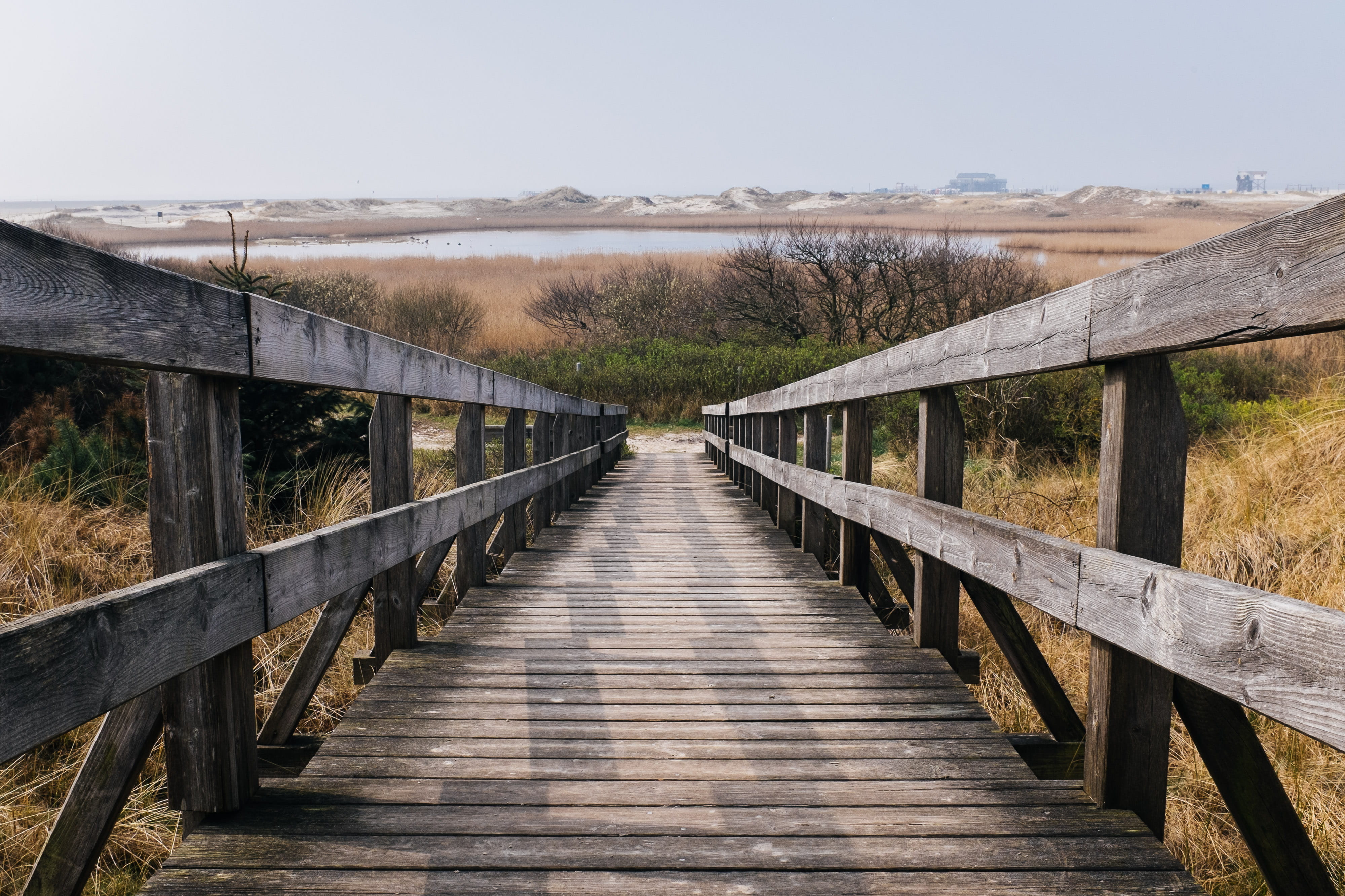 lake, connection, wood - Material, bridge, day, tree, non-urban scene, railing, the way forward, brown, scenics, sky, heading, boardwalk, footbridge, stair, HD Wallpaper