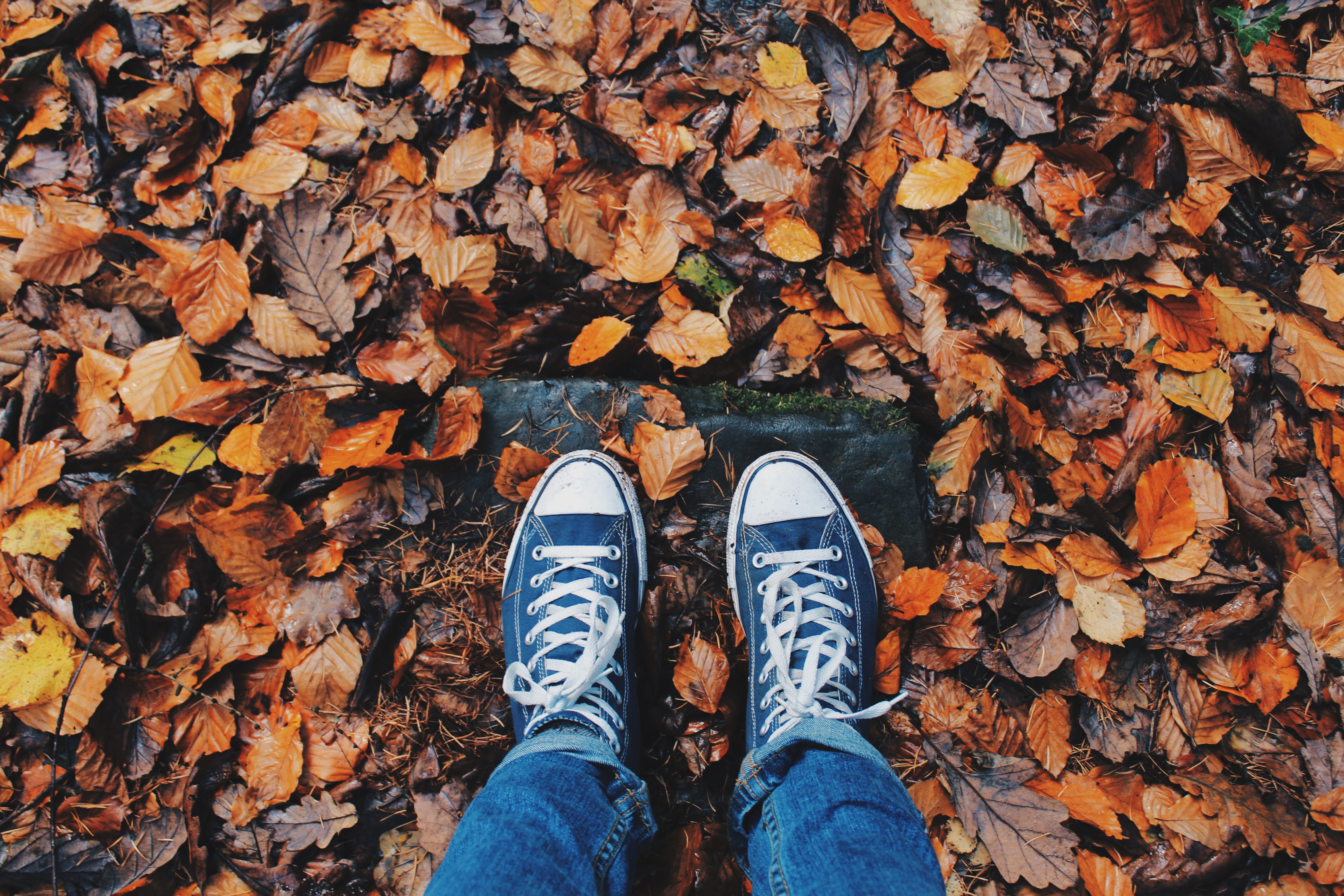 wearing, nature, day, shoe, pair, 5K, high angle view, shoes, hipster, human limb, low, one person, jean, outdoors, personal perspective, leaf, blue, change, HD Wallpaper