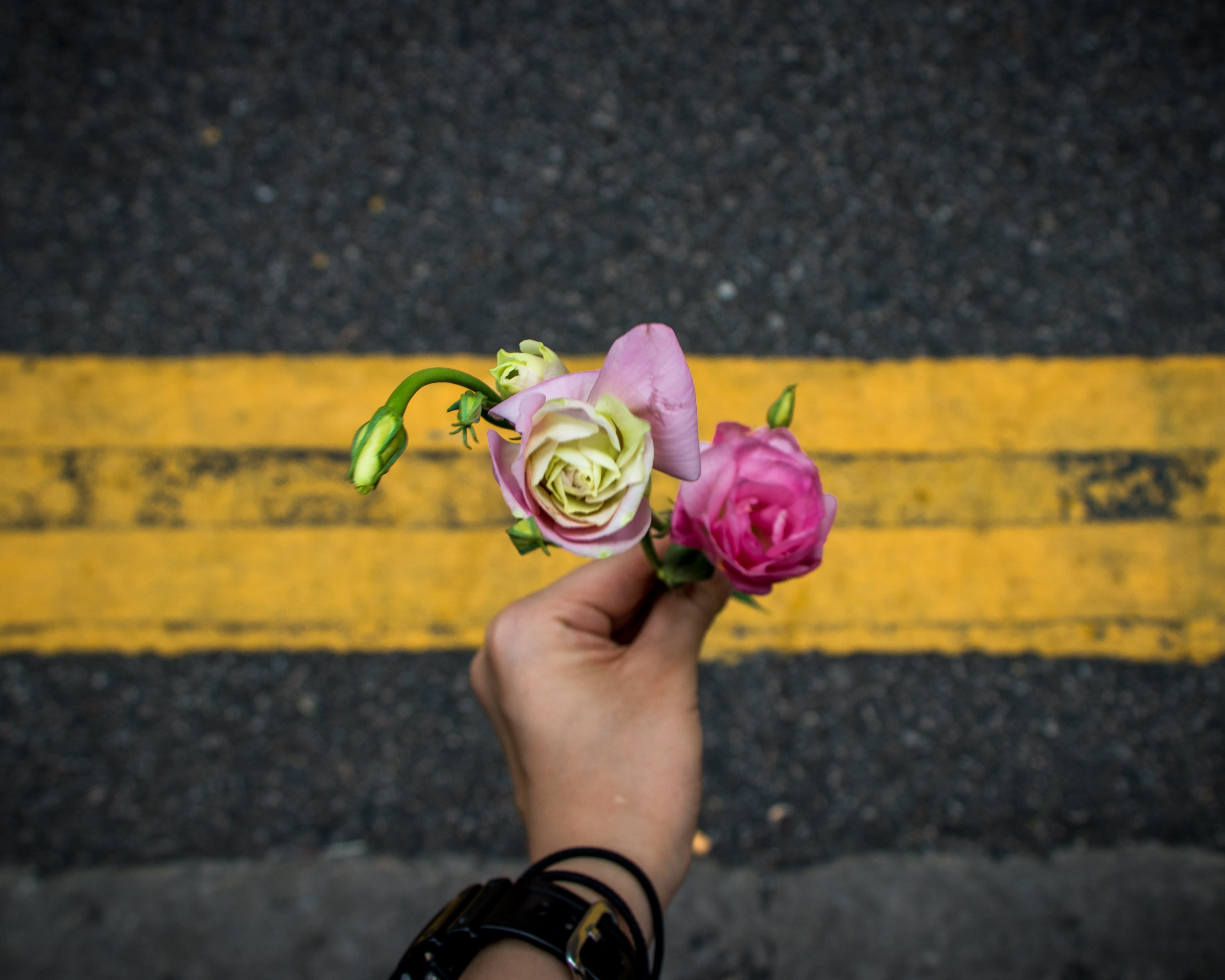 hat, yellow, line, bouquet, vulnerability, shift, ornament, photography, 4K, plant, real people, human hand, flowering plant, blossom, focus on foreground, HD Wallpaper