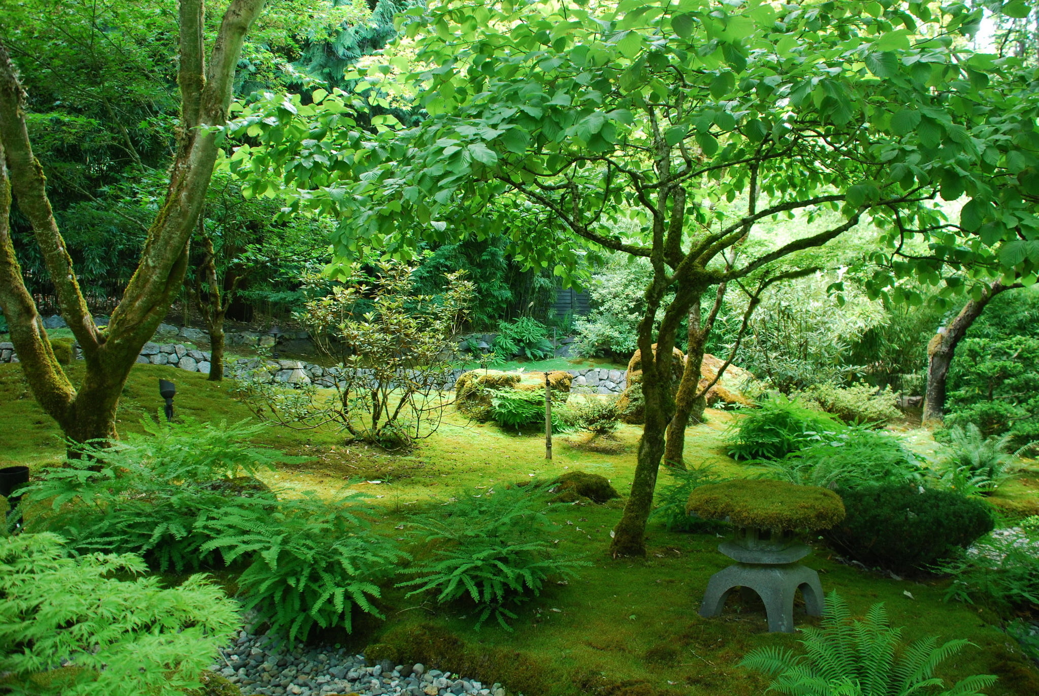 green color, park, Butchart Victoria, garden, tranquility, growth, tranquil scene, foliage, tree, forest, land, beauty in nature, outdoors, no people, water, HD Wallpaper
