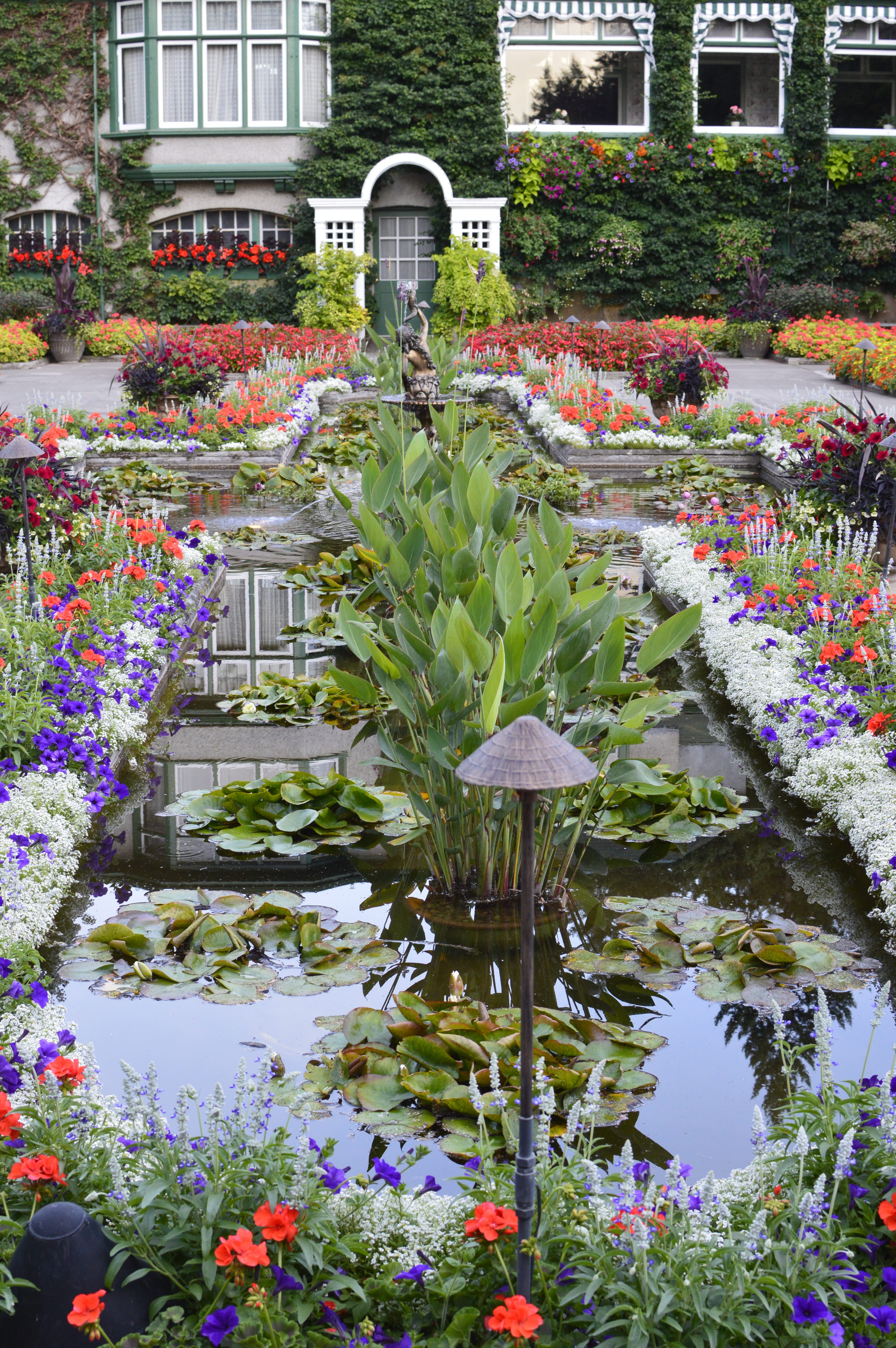 growth, ornamental garden, building exterior, flowering plant, outdoors, colorful, garden, building, 5K, plant part, no people, water, beauty in nature, Phone HD Wallpaper