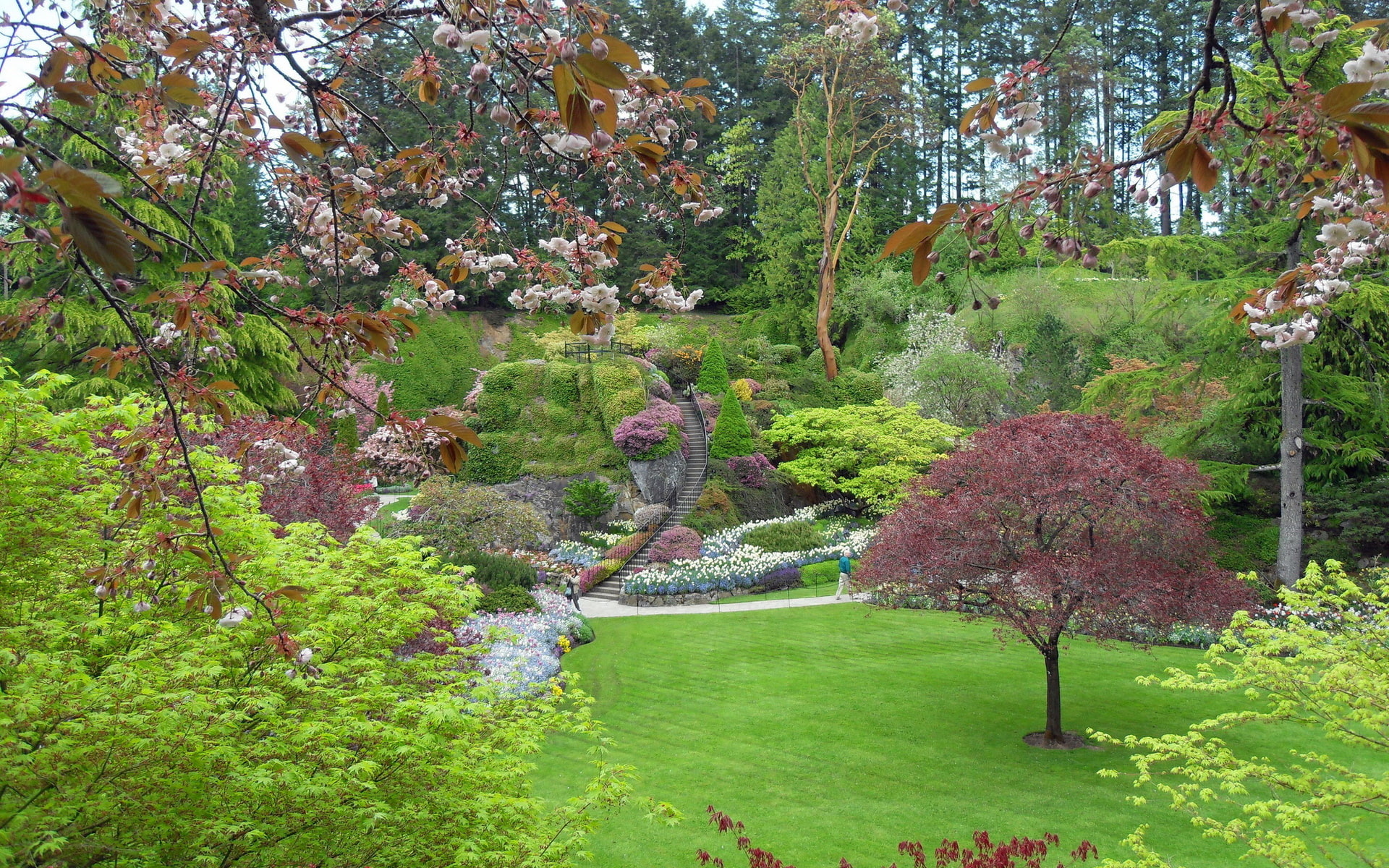 victoria, design, canada, 1080P, branches, butchart, HD Wallpaper