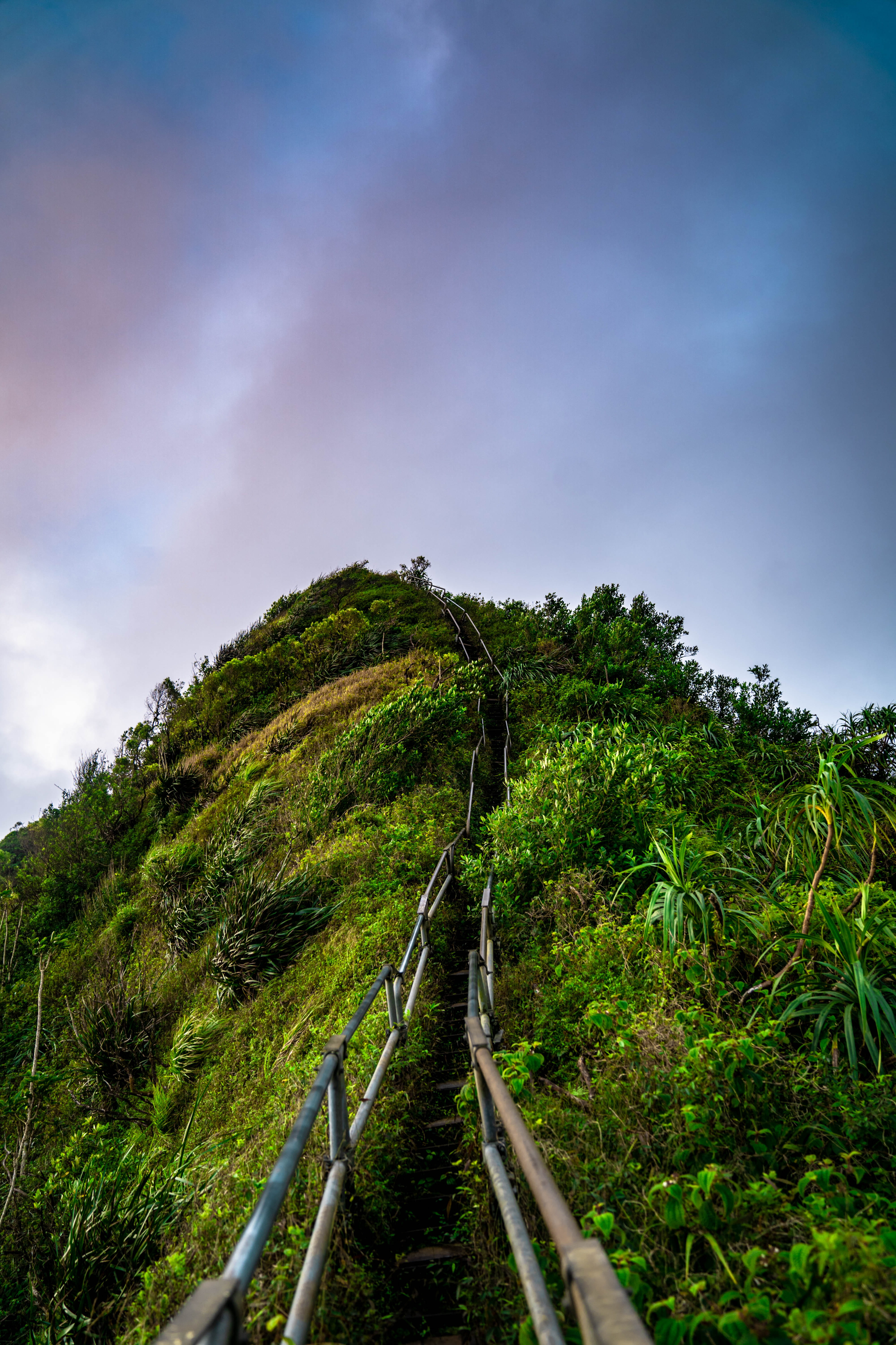 outdoors, mountain range, sky, mountain, field, non-urban scene, oahu, tropcial, jungle, no people, tranquil scene, day, land, beauty in nature, green color, Phone HD Wallpaper