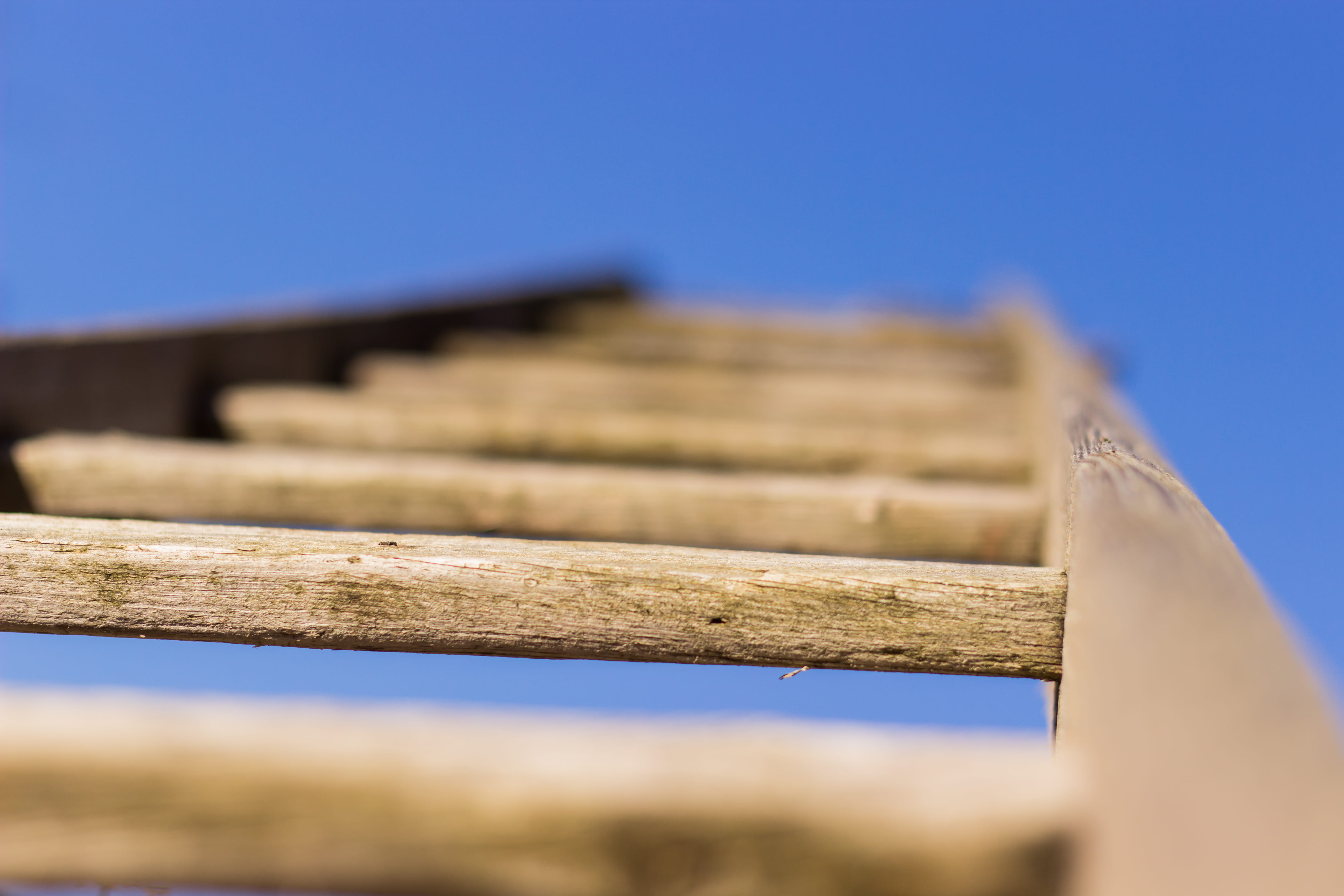 outdoors, close-up, clear sky, sprouts, nature, up, ladder, wood, timber, old, low angle view, fence, focus on foreground, used, no people, sky, barrier, HD Wallpaper