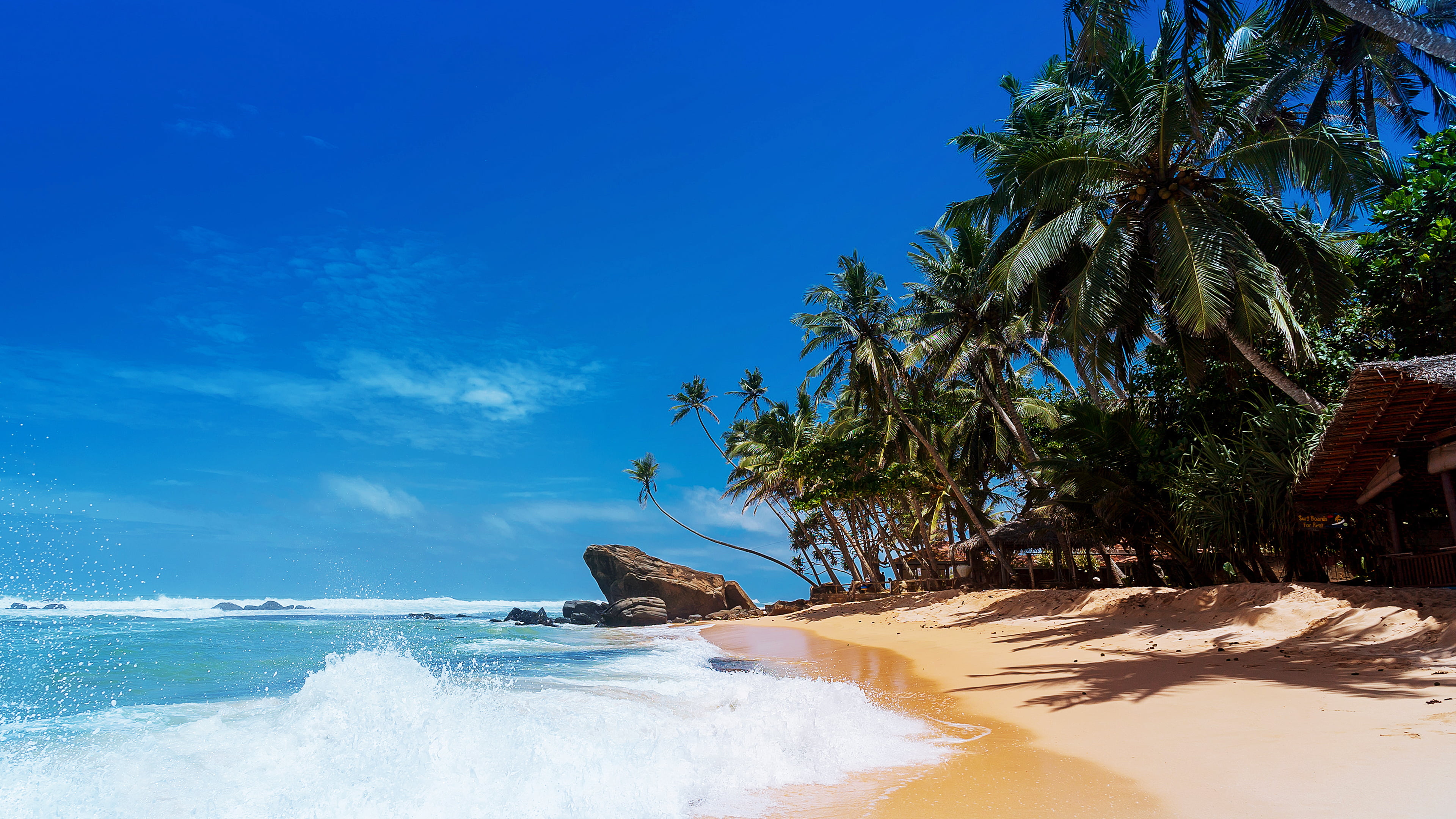 motion, blue, water, sea, tropical climate, palm tree, no people, plant, outdoors, clear sky, sky, beach, horizon over water, coconut, wave, trees, beauty in nature, HD Wallpaper