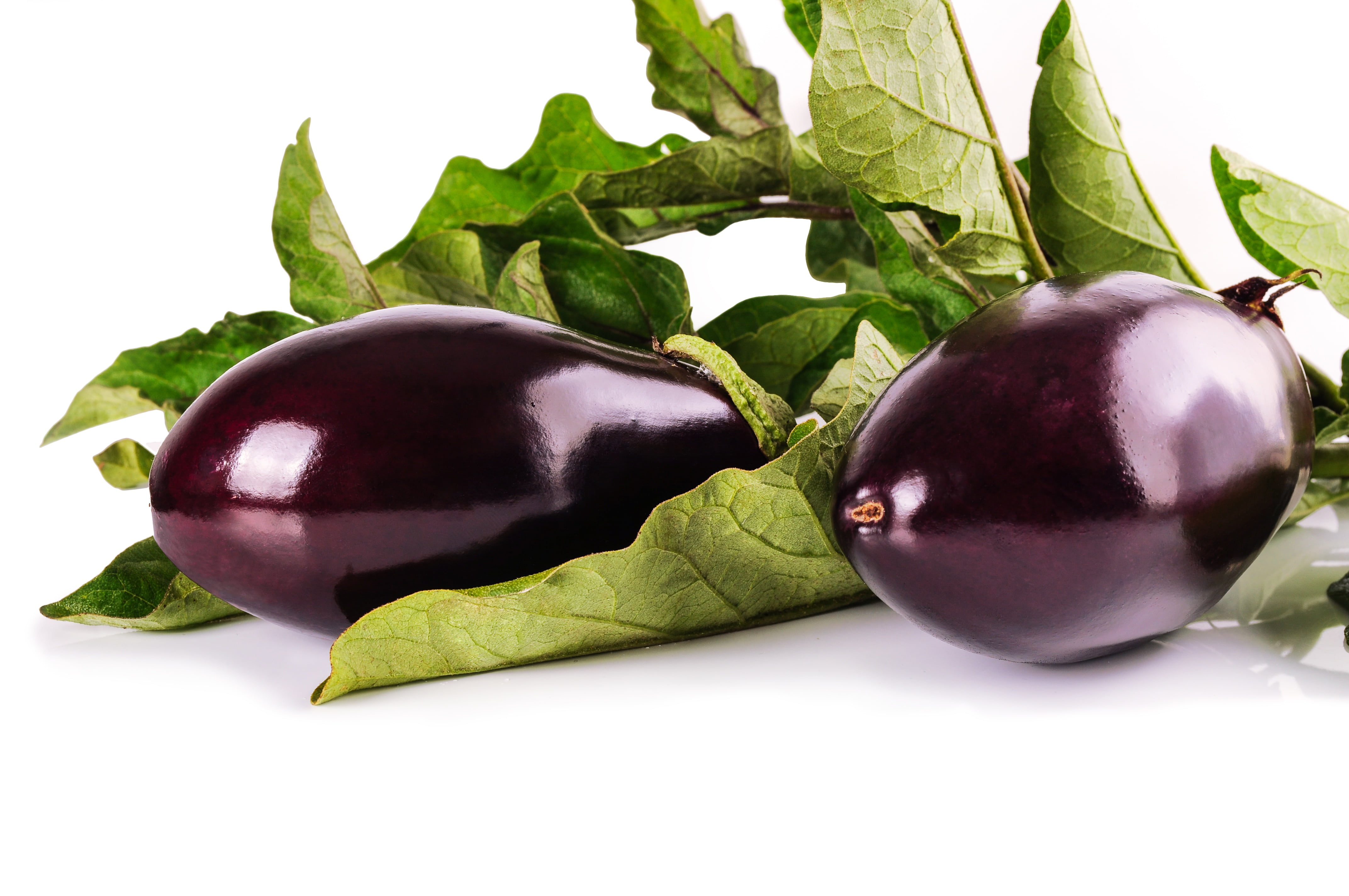 white, purple, panel, natural, freshness, still life, plant part, isolated, 4K, eggplants, ripe, small group of objects, organic, eggplant, healthy eating, HD Wallpaper