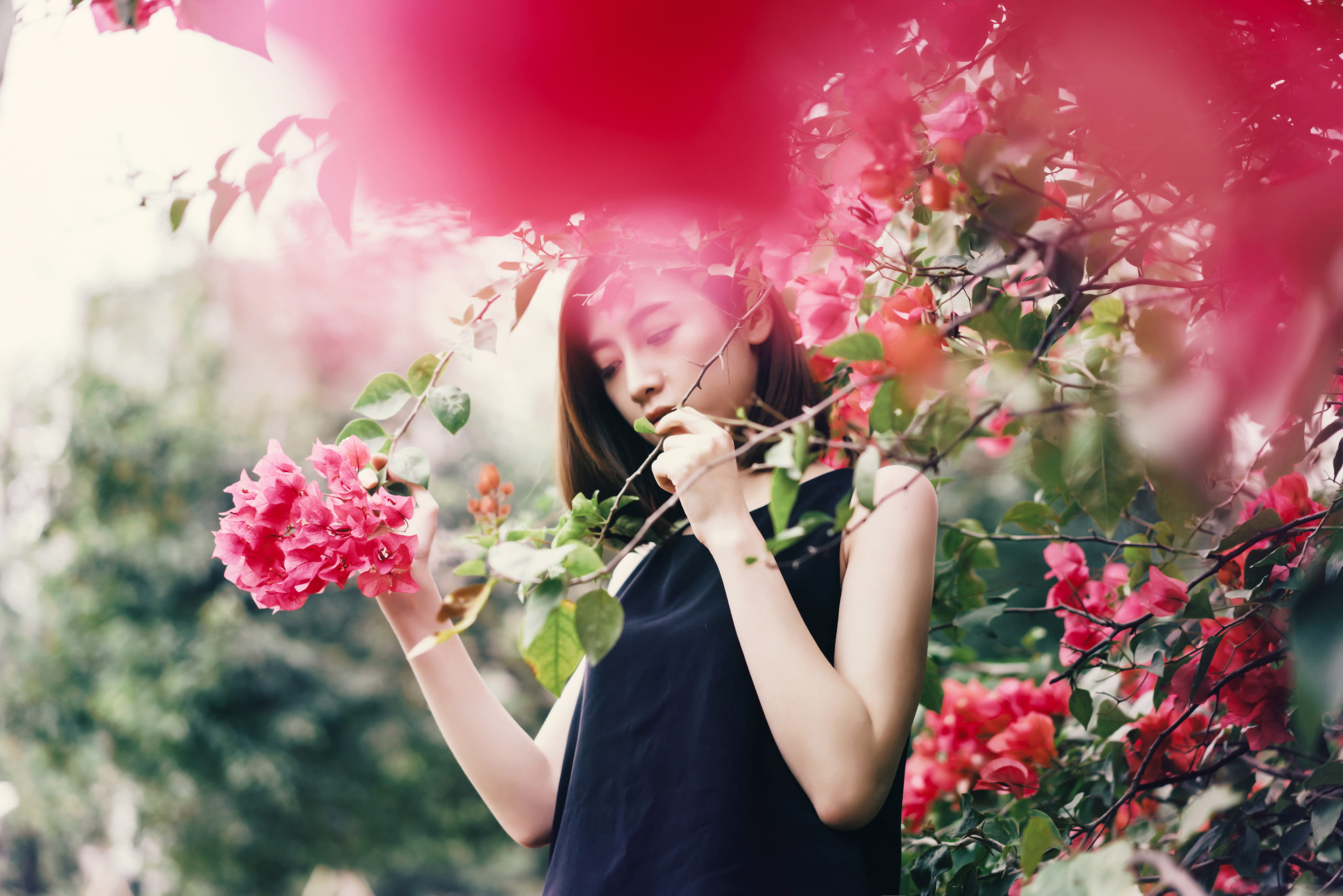 pink, sleeveless, plants, waist up, front view, flower arrangement, female, beauty in nature, springtime, young women, holding, plant, 2K, flower, nature, HD Wallpaper