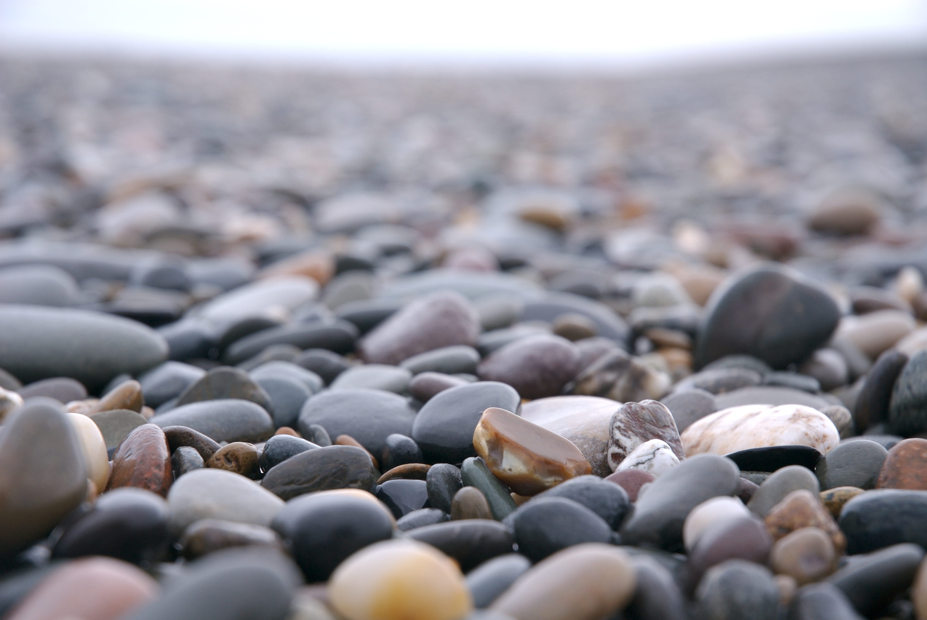 backgrounds, sleeping, turquoise, isle of man, path, blossom, child, solid, rock, large group of objects, full frame, selective focus, focus on foreground, HD Wallpaper