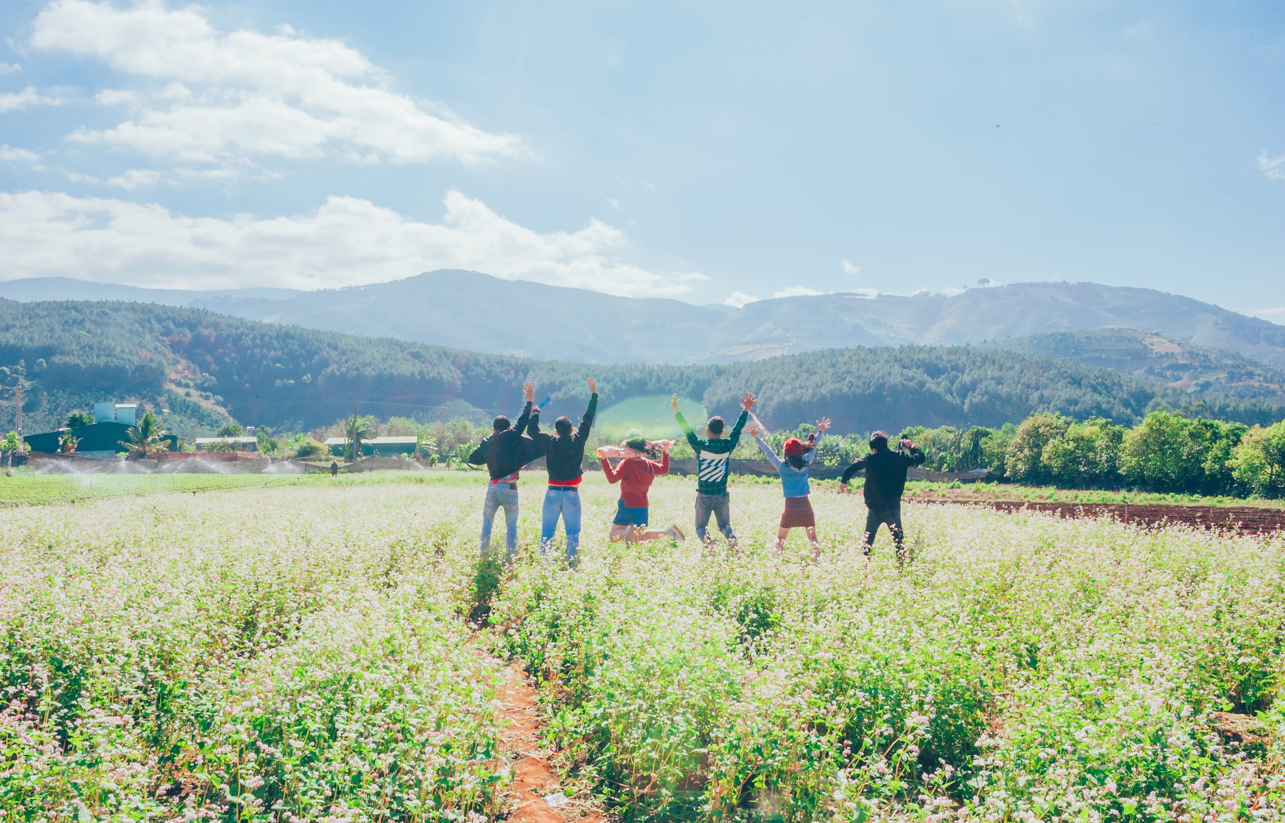 six, grassland, environment, summer, group together, field, cropland, cloud - sky, day, standing, growth, tree, real people, people, scenic, hill, farm, HD Wallpaper