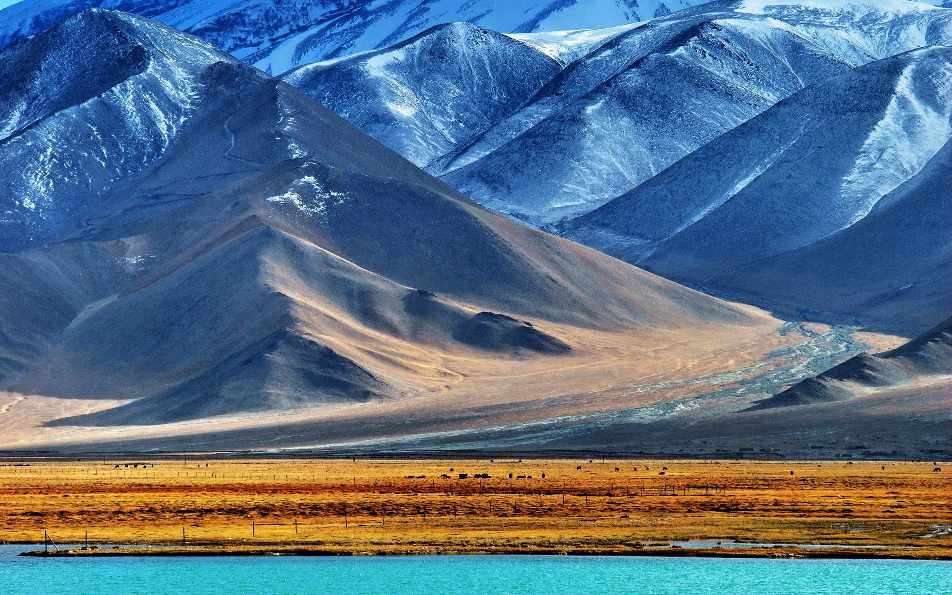 fence, 1080P, remote, blue, land, lake, mountain, Tajikistan, beauty in nature, tranquil scene, environment, animals, water, scenics - nature, snow, no people, HD Wallpaper