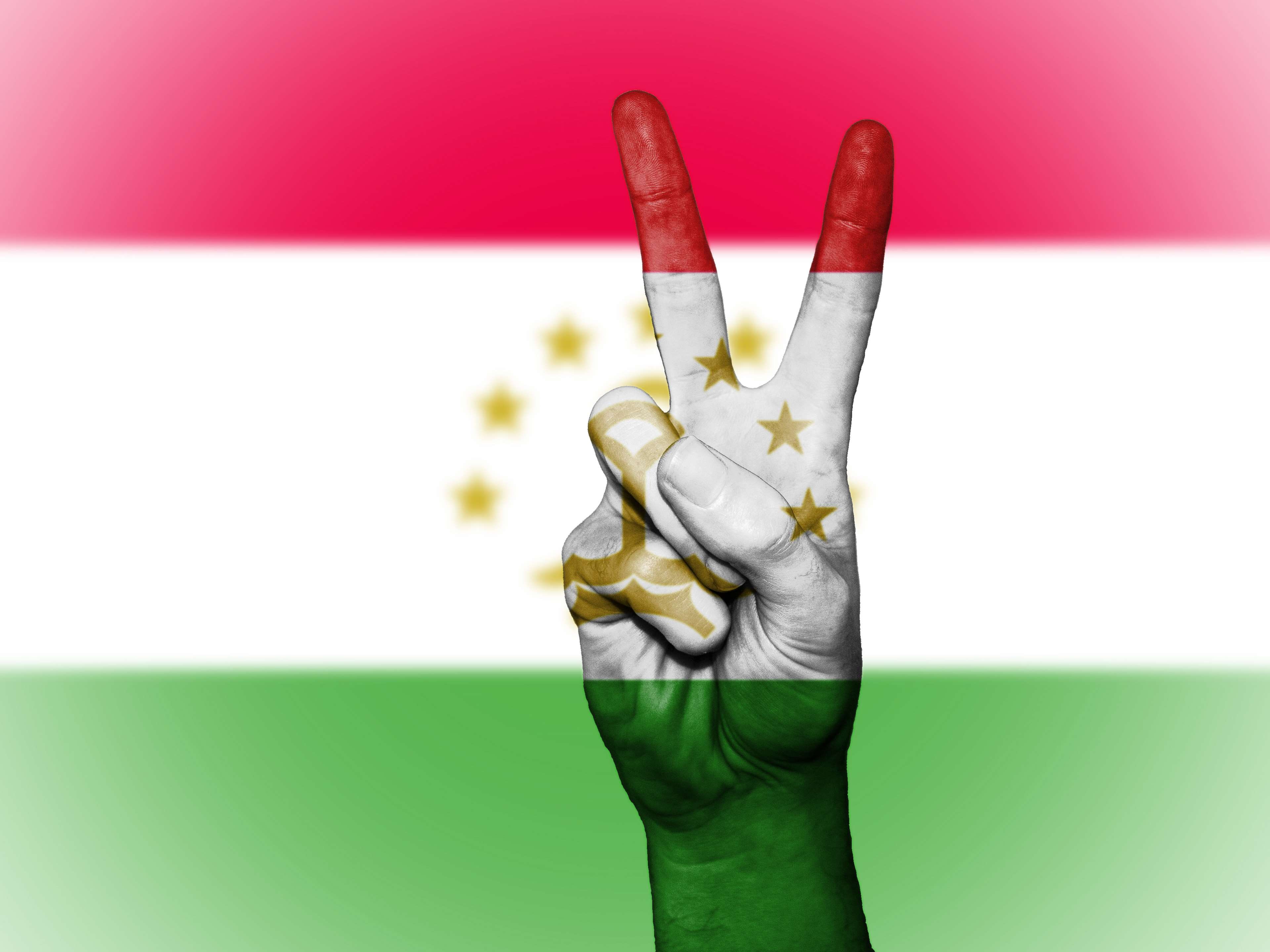 success, illustration, unrecognizable person, nation, state, tourism, travel, human hand, banner, finger, flag, stock photo, surgical glove, body paint, HD Wallpaper