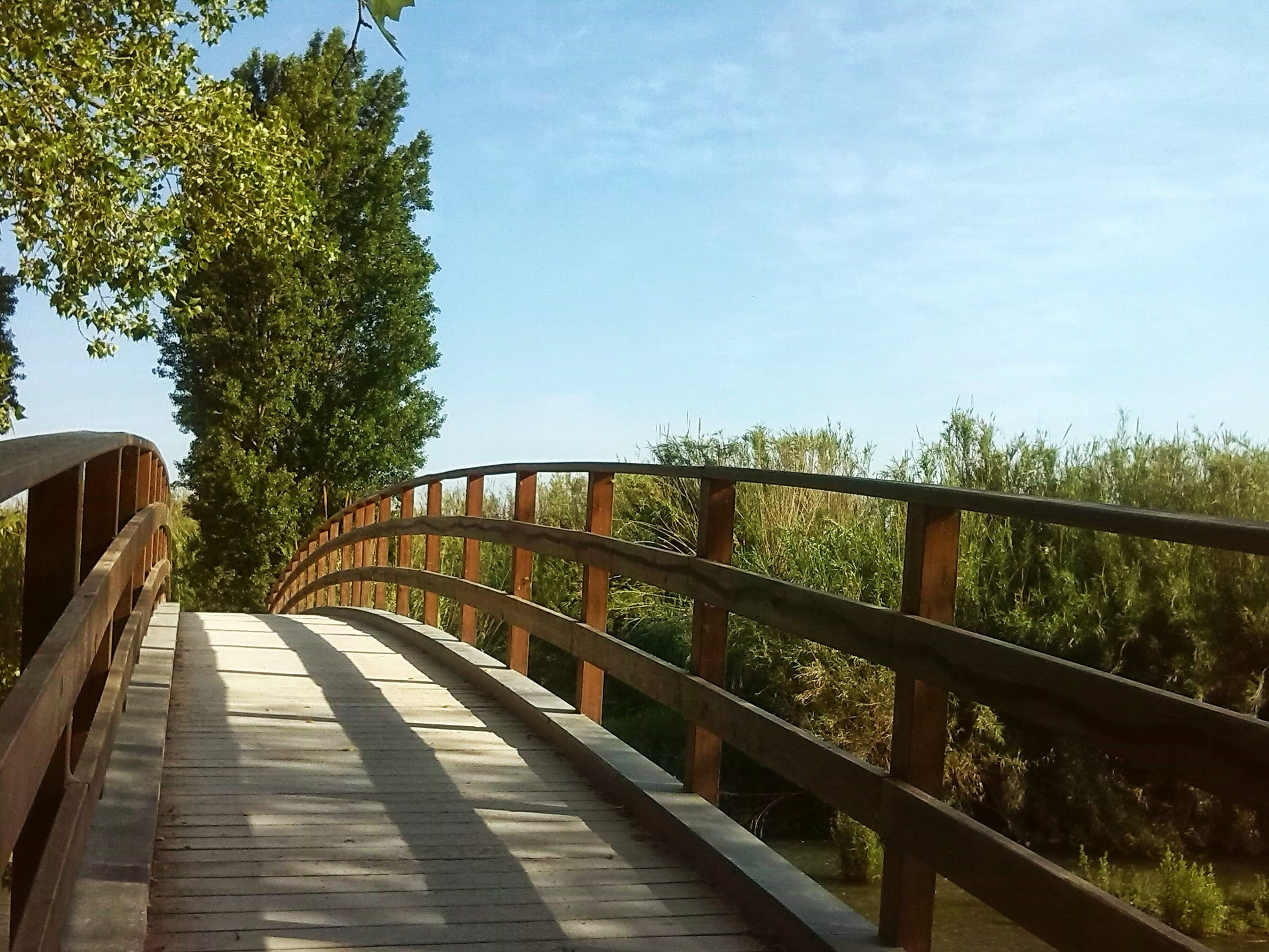 connection, sky, path, outdoors, Path, photography, architectural, footpath, balustrade, nature, architecture, day, 2K, Entrepreneurship, wood - material, HD Wallpaper