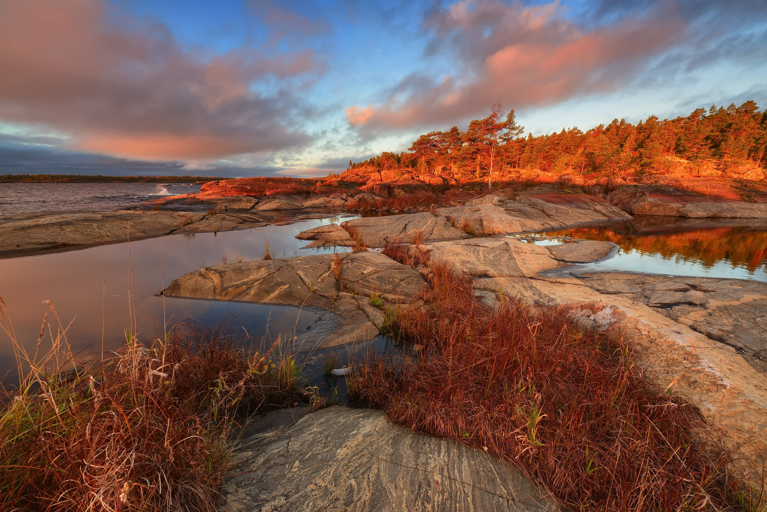 Skerries, Ladoga, stones, lake, nature, forest, landscape, Karelia, grass, autumn, Maxim Evdokimov, Lake Ladoga, 2K, HD Wallpaper