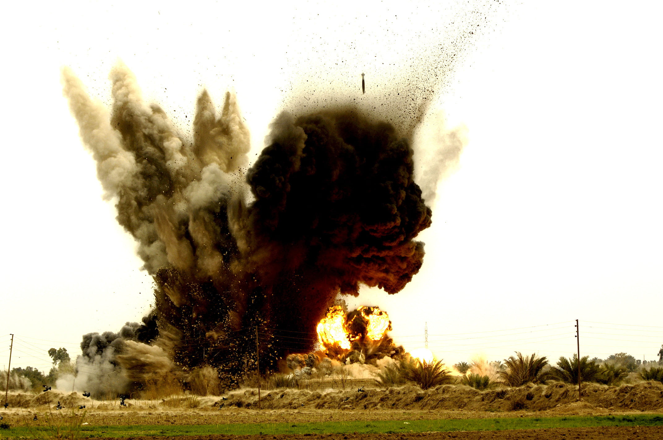 nature, bomb, 1080P, the explosion, digital, field, grass, day, fire, exploding, heat - temperature, motion, landscape, tree, outdoors, environment, HD Wallpaper