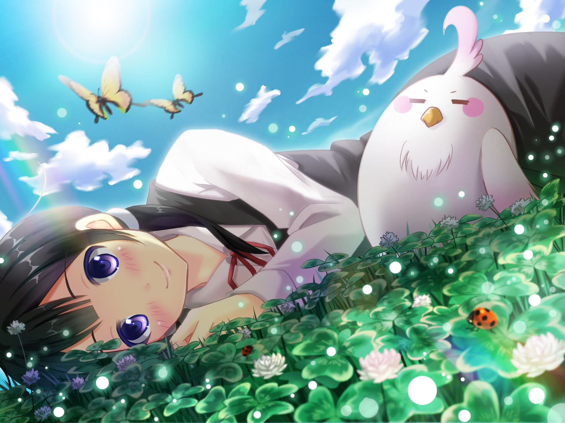 1080P, Anime, Tamako Market, HD Wallpaper