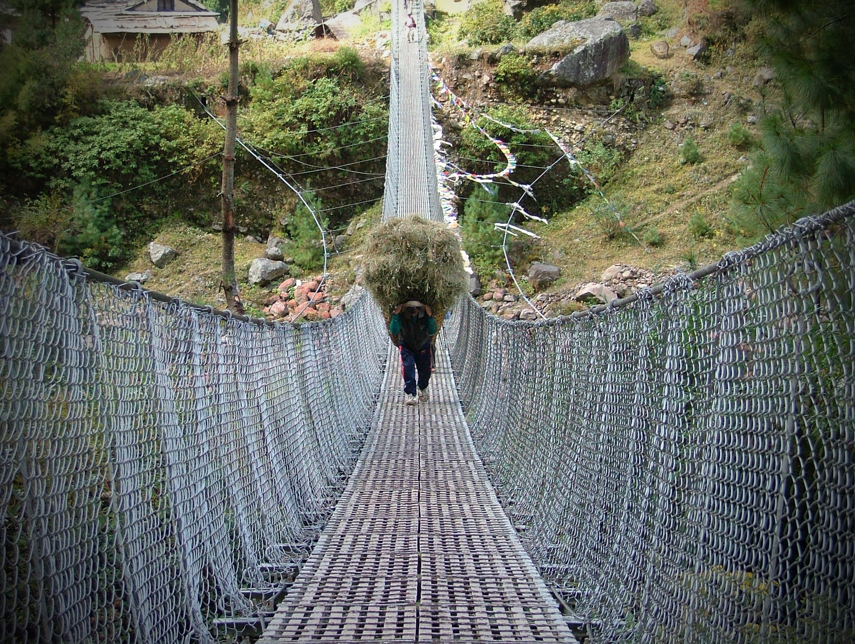nature, connection, one person, land, nepal, the way forward, rope bridge, himalaya, rear view, built structure, day, outdoors, direction, walking, footbridge, HD Wallpaper