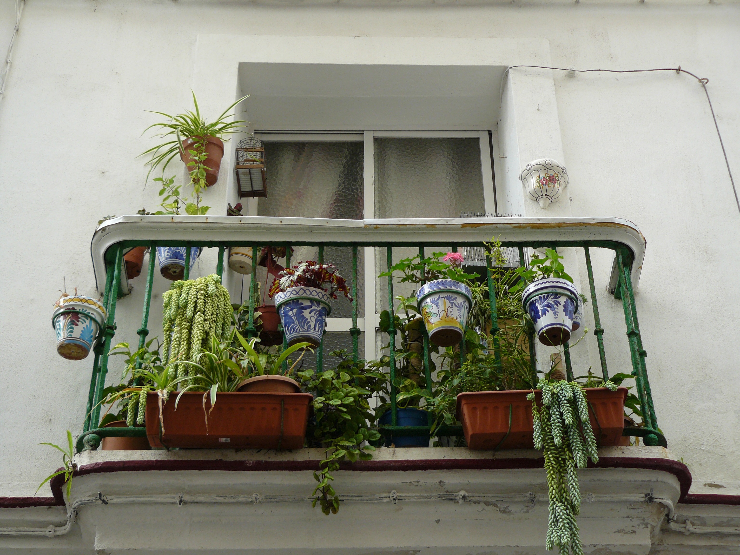 plant, facade, apartments, floral decorations, window, hanging plant, balconies, maritime, building exterior, accommodation, holiday, summer, balcony plants, HD Wallpaper