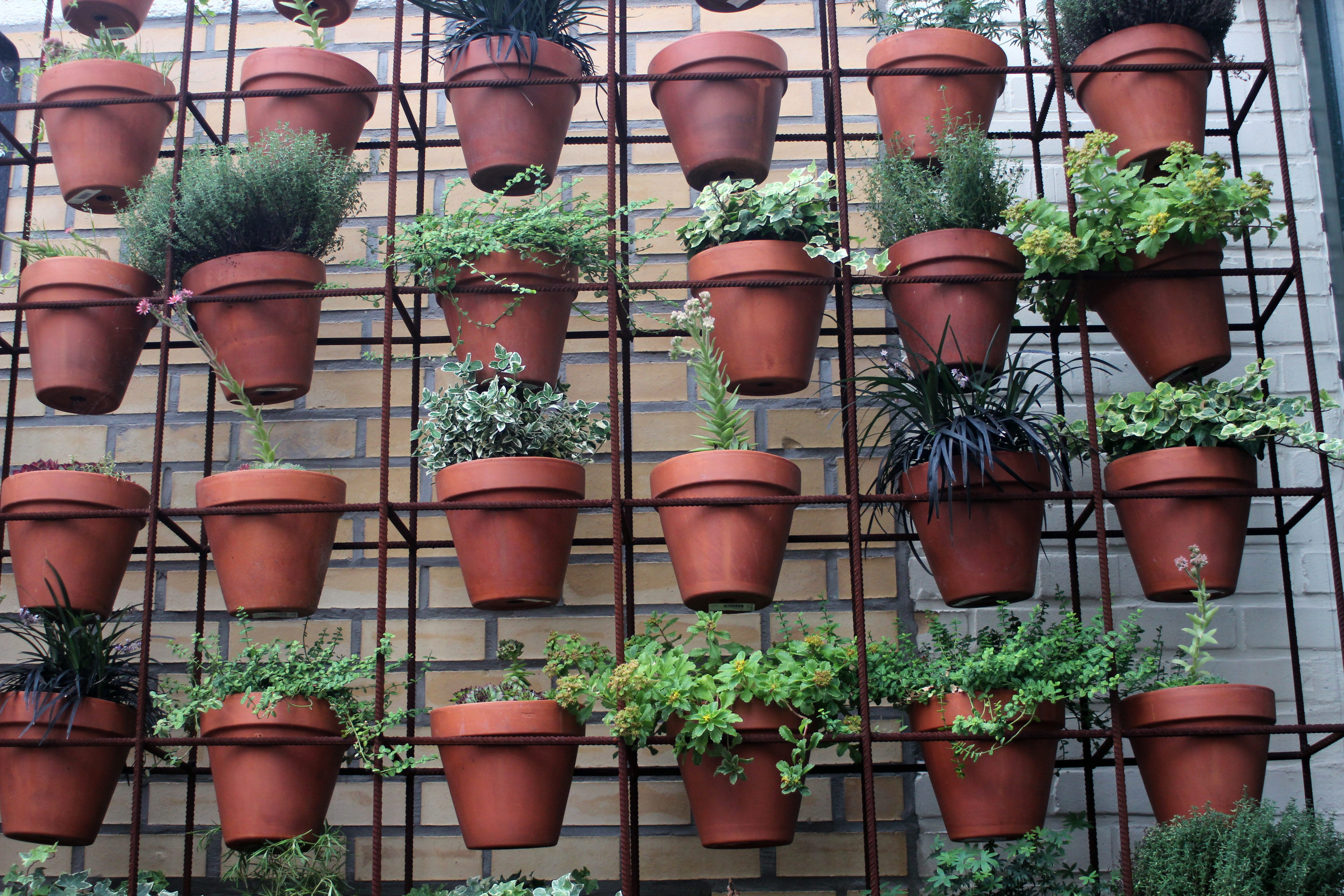 side by side, plant part, nature, potted plant, still life, ivy, reinforcement, no people, 5K, deco, garden, planted, architecture, red, city, summer, HD Wallpaper