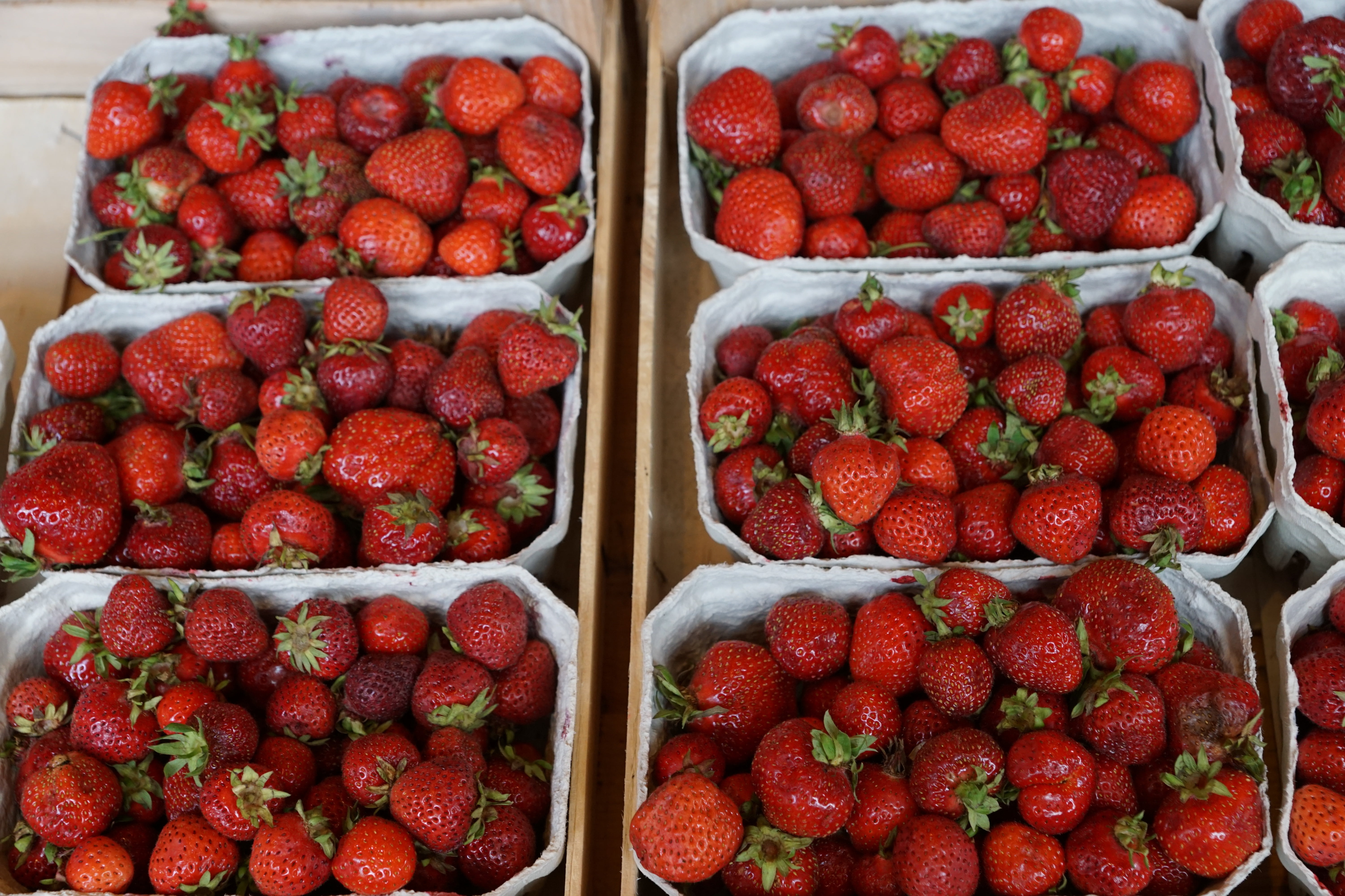 no people, berries, eat, summer, sell, full frame, retail, for sale, strawberry, market stall, food, red, day, nature, shopping, ripe, healthy eating, freshness, HD Wallpaper