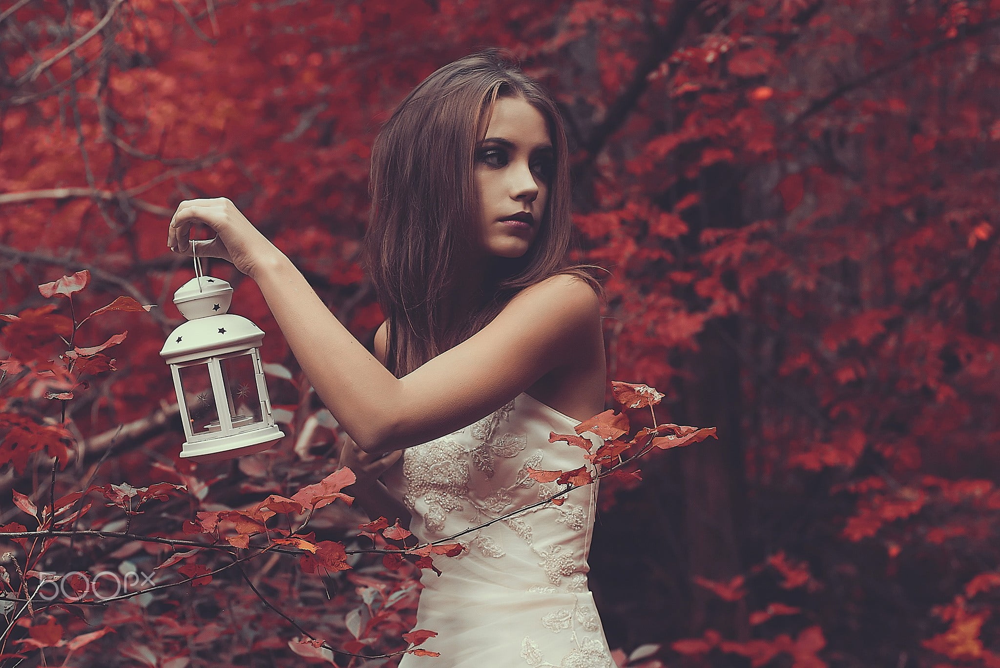 sensuality, leaves, human Hair, people, fashion, hair, young women, nature, women outdoors, tree, celebration, lantern, forest, candle, human Face, depth of field, HD Wallpaper