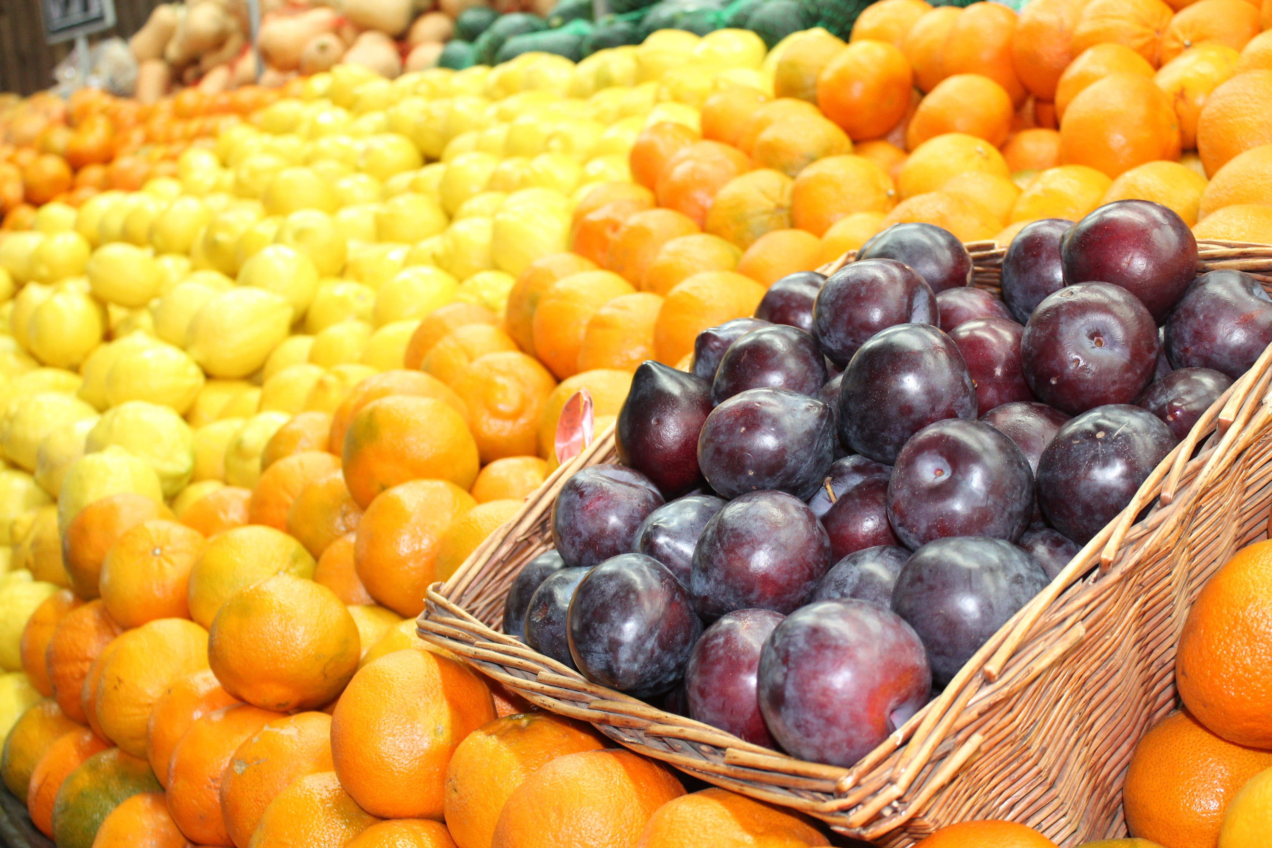 super market, oranges, healthy eating, consumerism, retail, market stall, choice, ripe, fresh fruit, grape, abundance, lemons, variation, no people, plums, HD Wallpaper